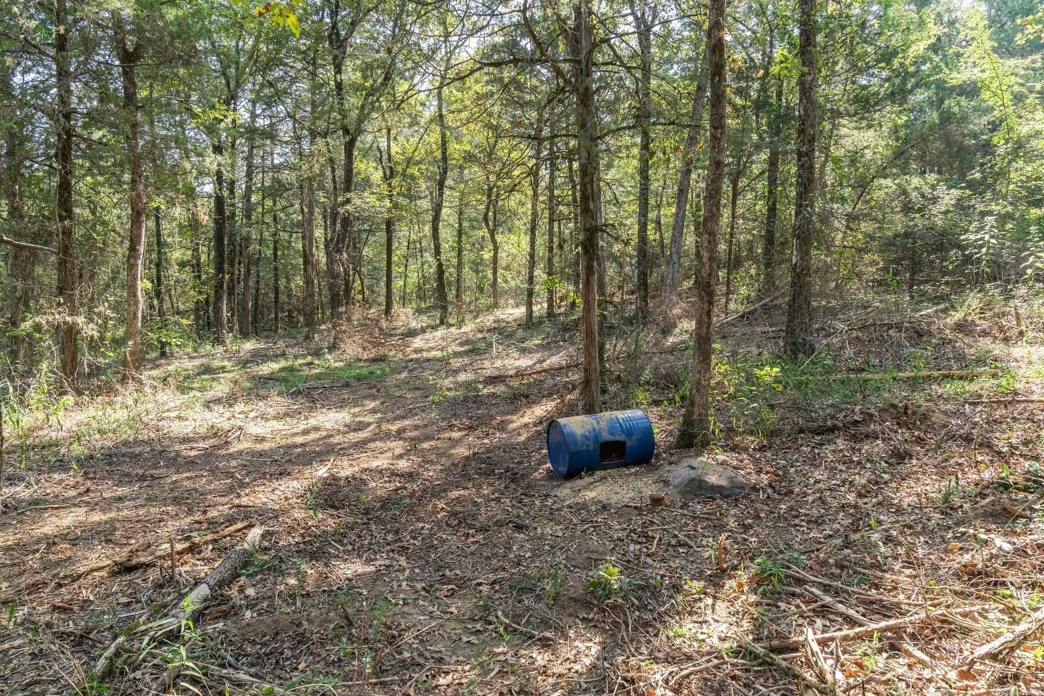 3024 Red Bench rd  Paris, AR