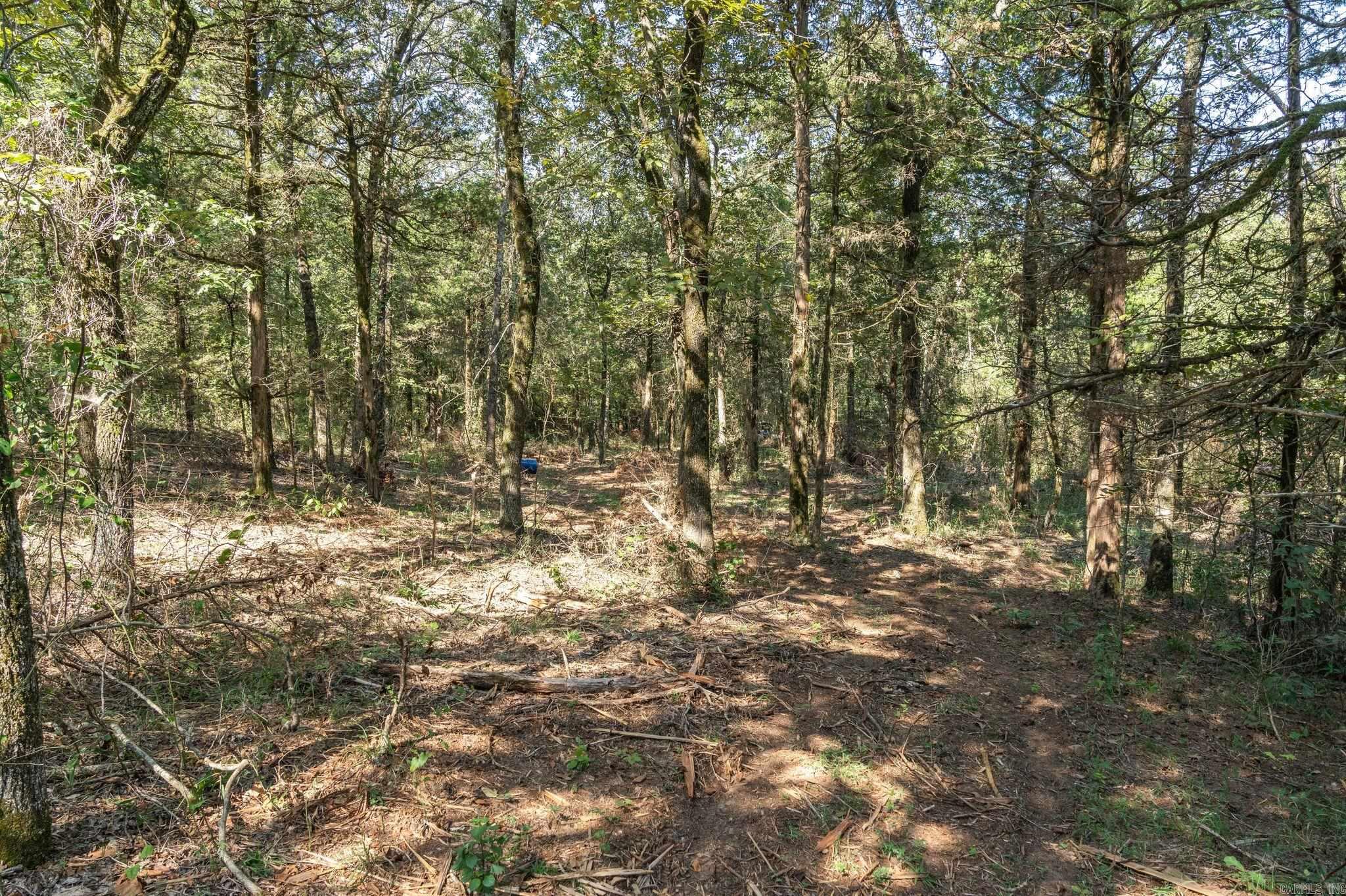 3024 Red Bench rd  Paris, AR