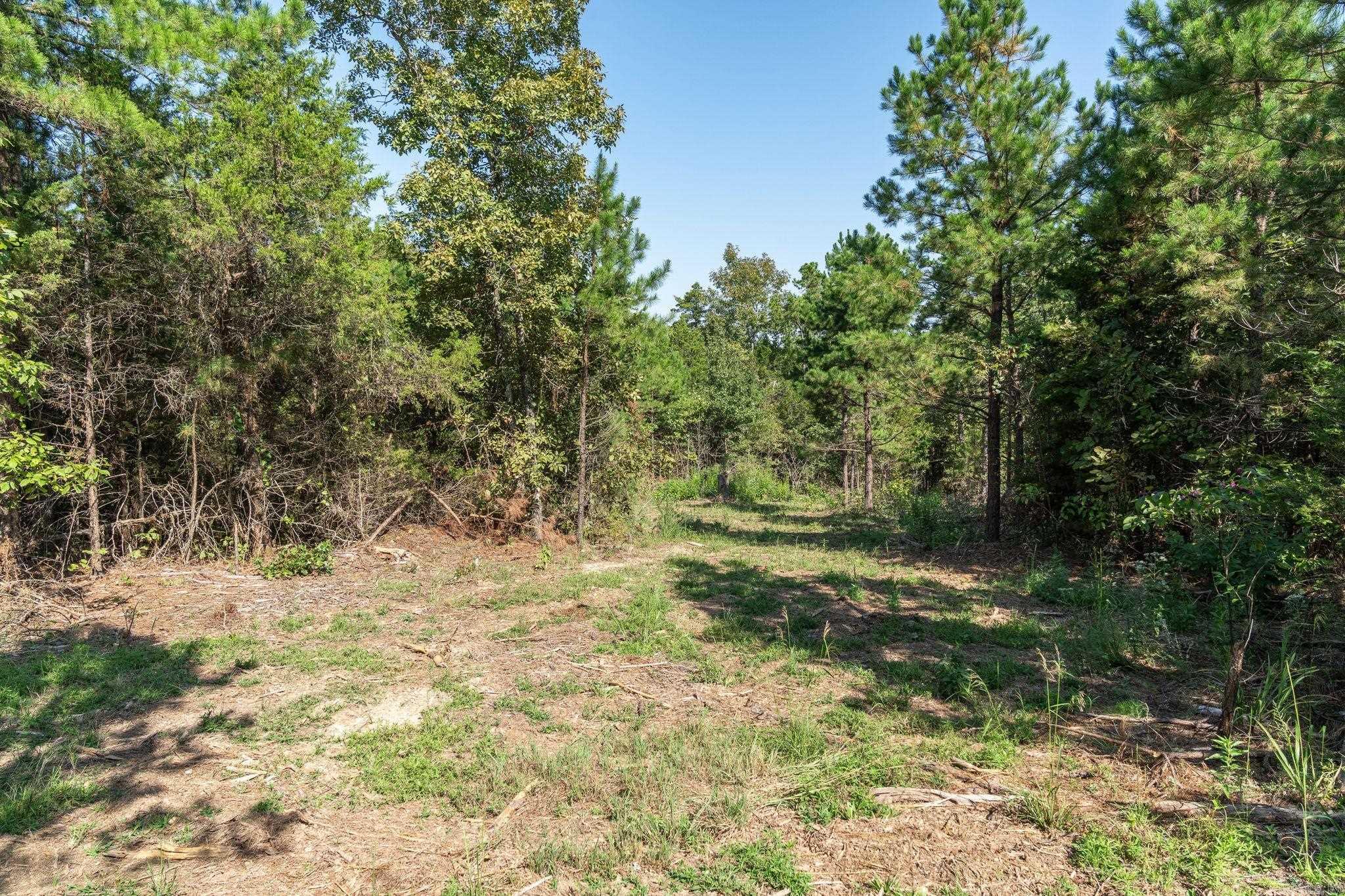 3024 Red Bench rd  Paris, AR