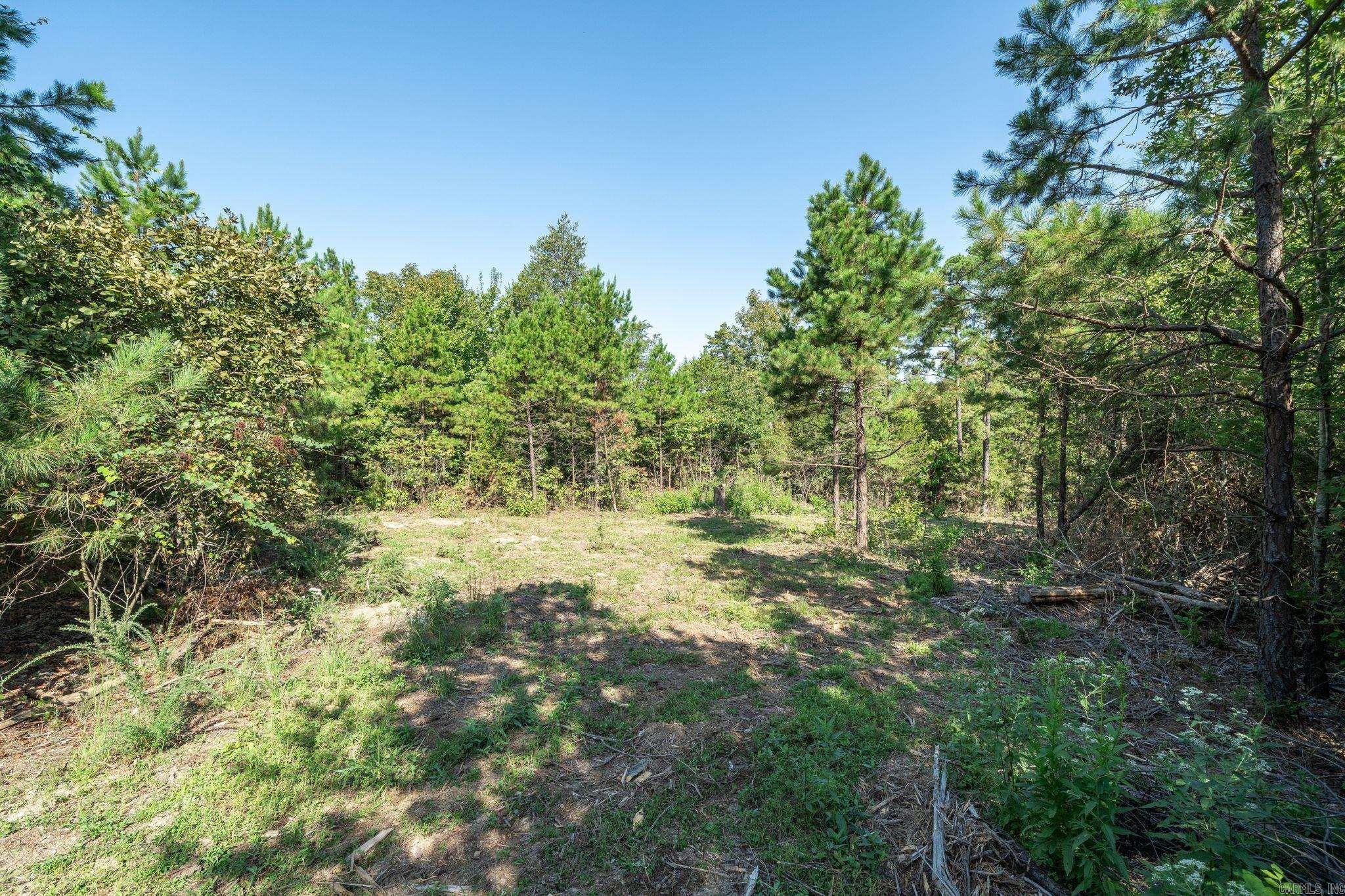 3024 Red Bench rd  Paris, AR