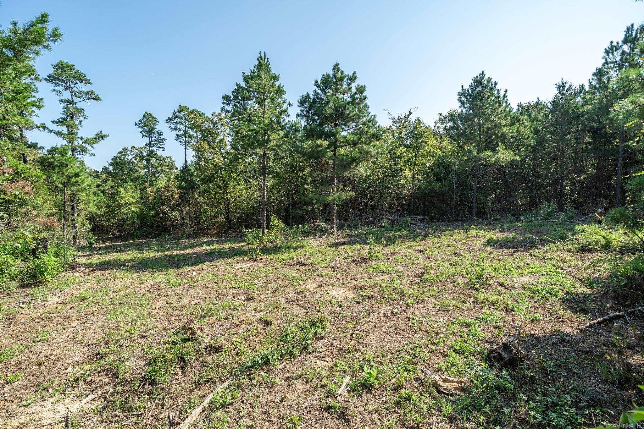 3024 Red Bench rd  Paris, AR