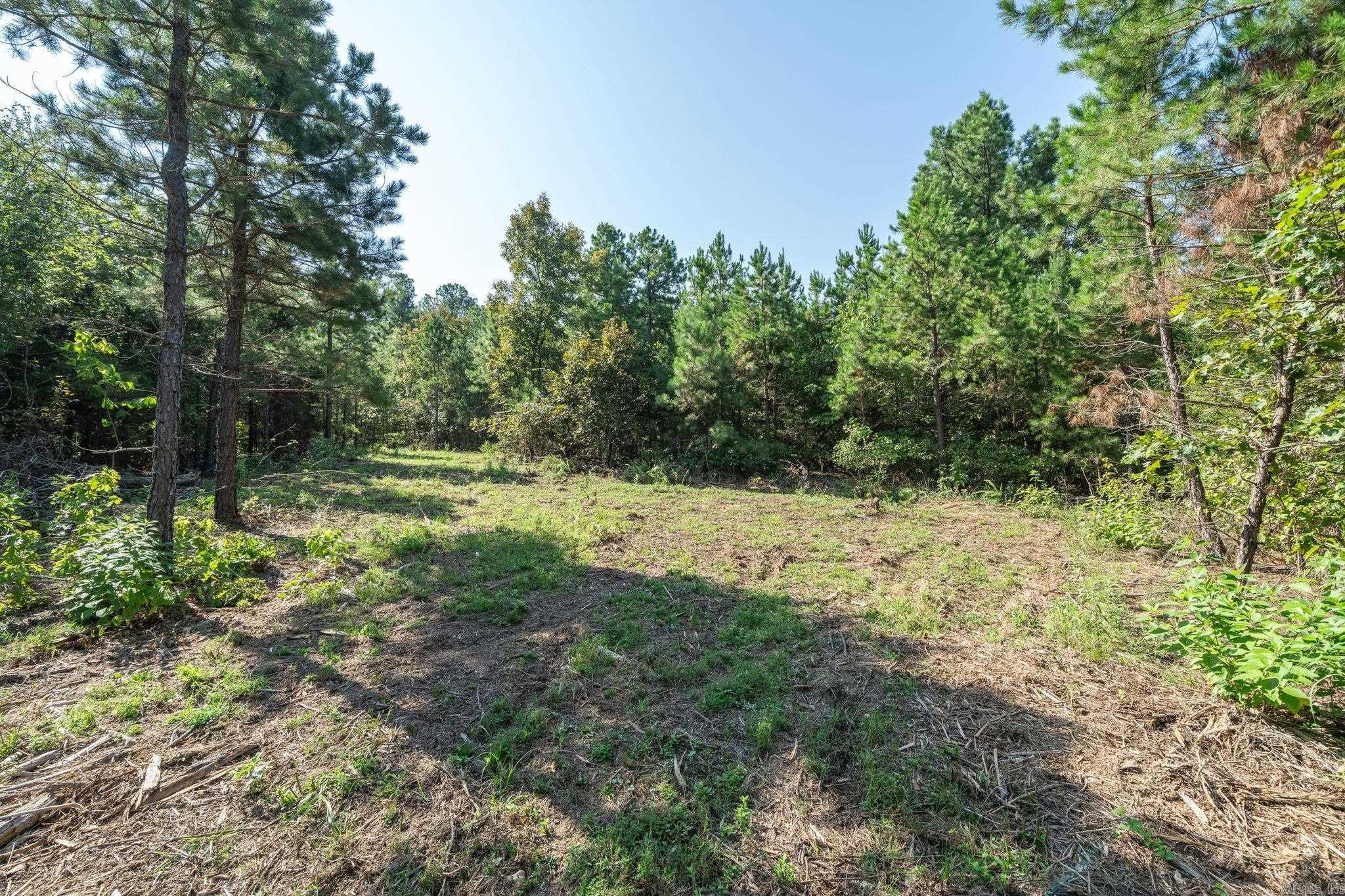 3024 Red Bench rd  Paris, AR