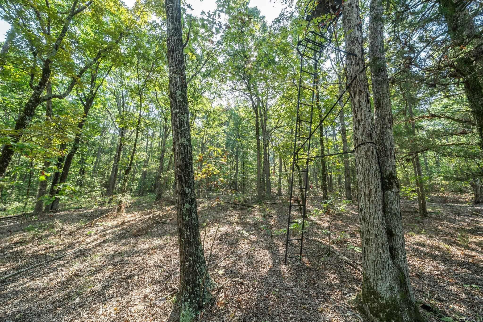 3024 Red Bench rd  Paris, AR