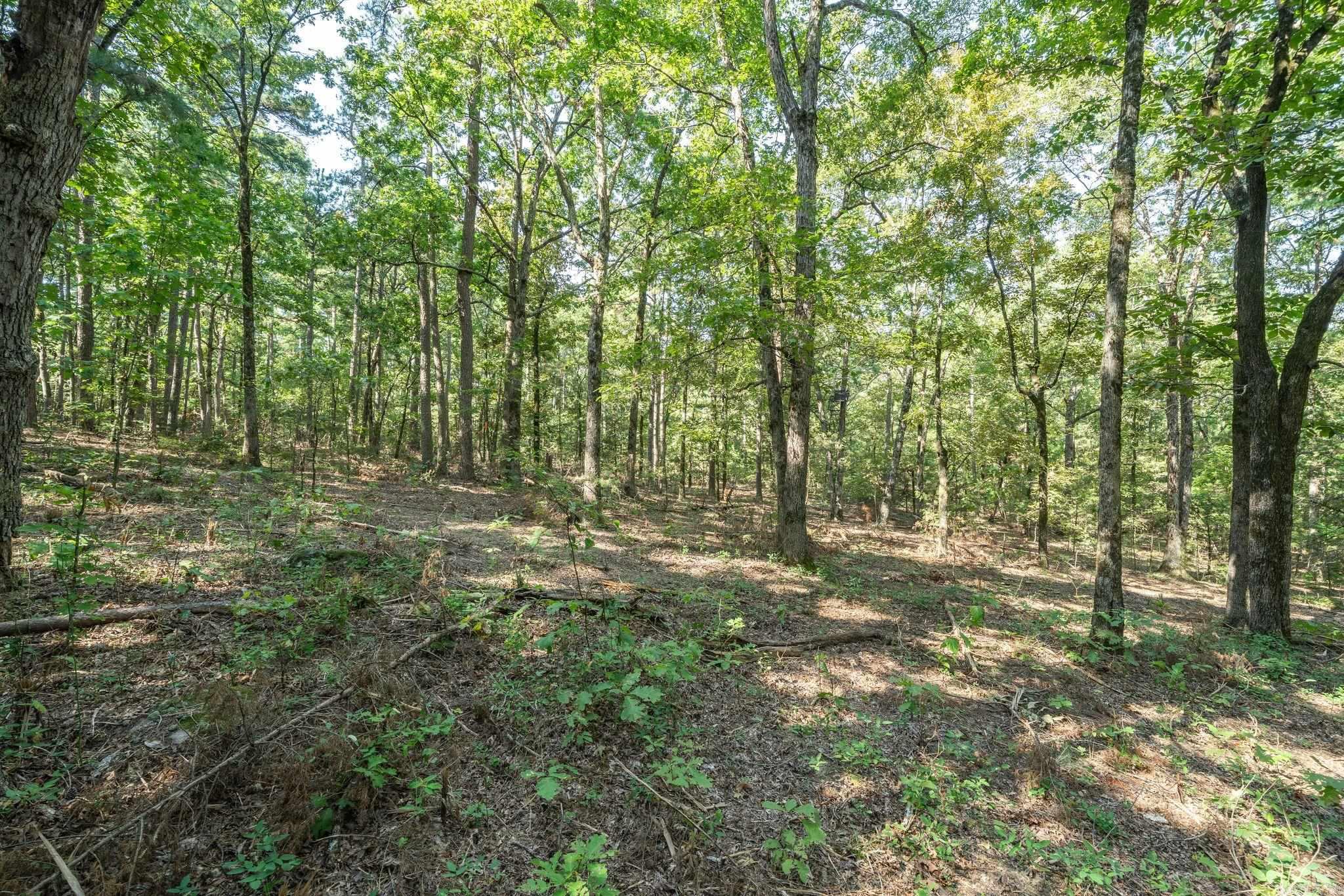 3024 Red Bench rd  Paris, AR