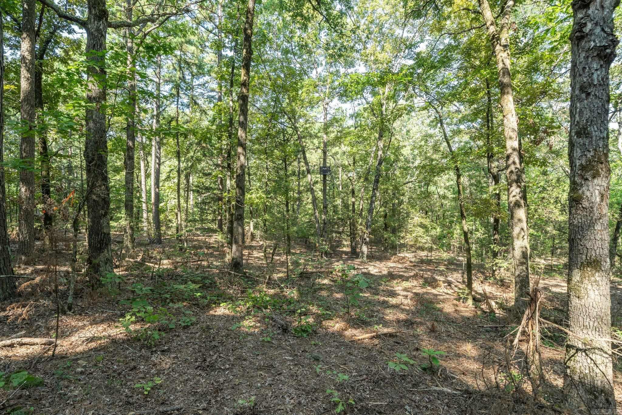 3024 Red Bench rd  Paris, AR
