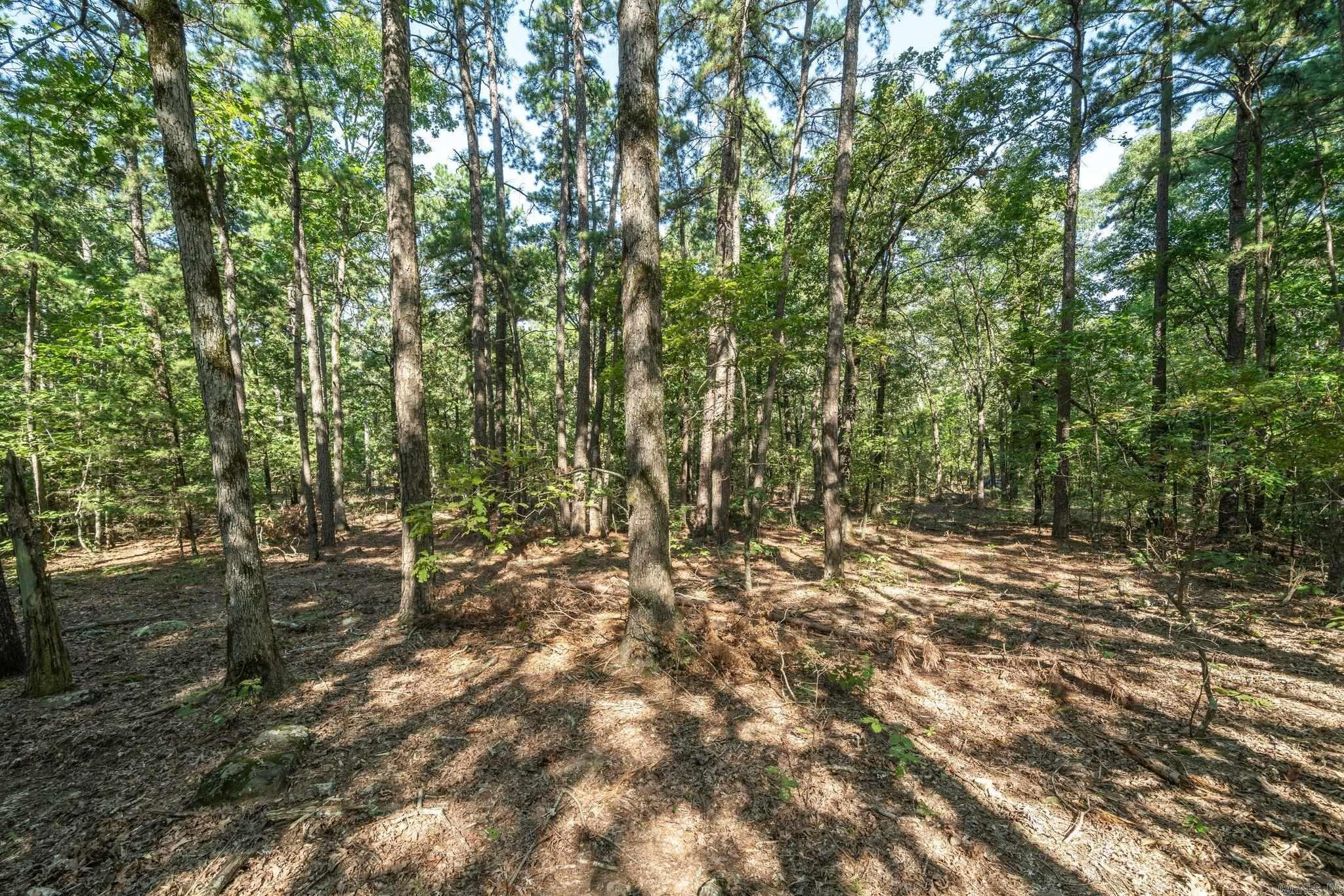 3024 Red Bench rd  Paris, AR