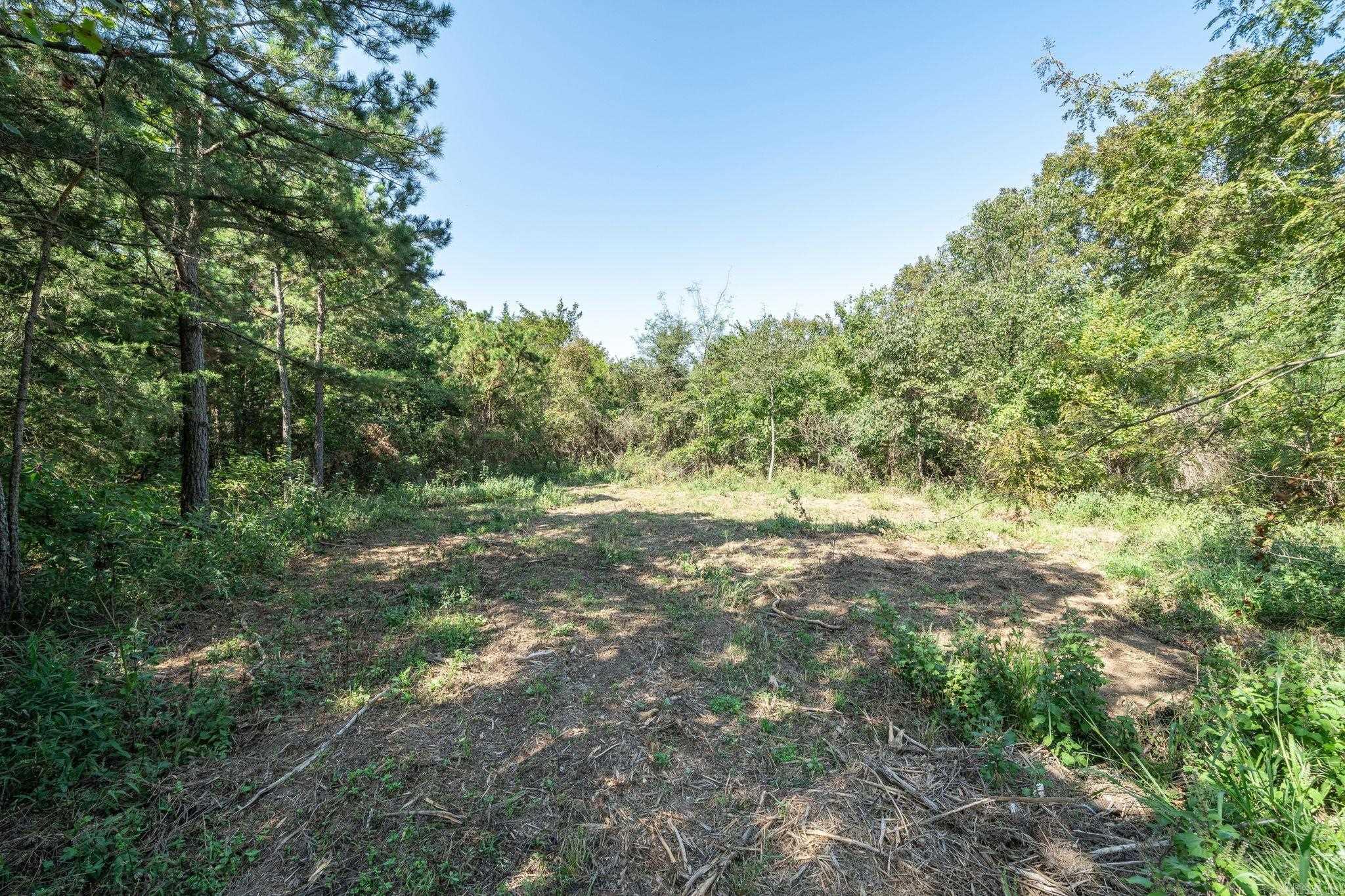 3024 Red Bench rd  Paris, AR