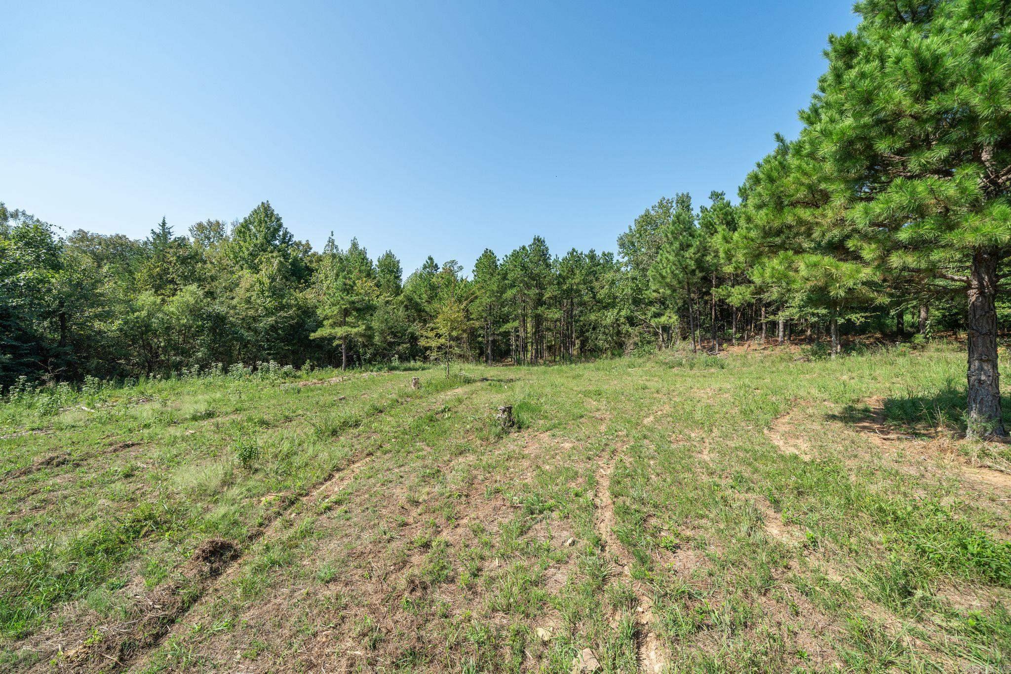 3024 Red Bench rd  Paris, AR