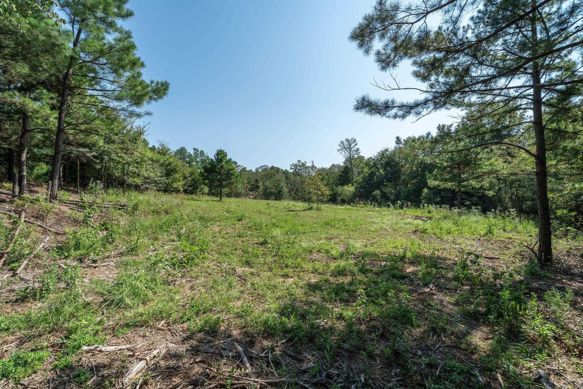 3024 Red Bench rd  Paris, AR
