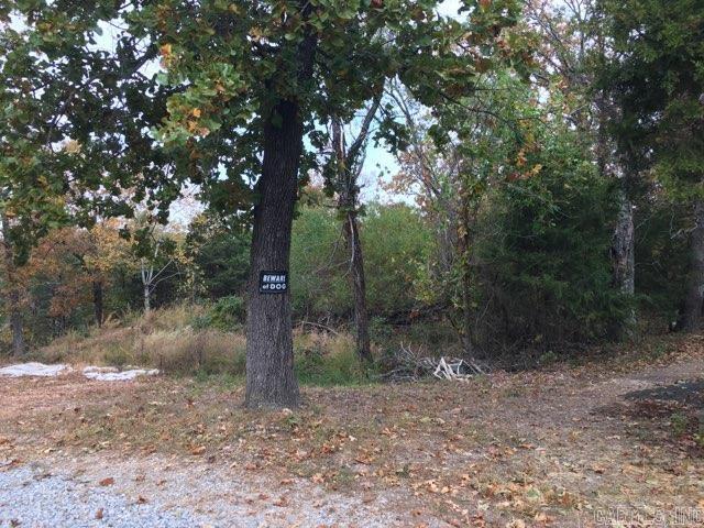 191 Westwind CT  Clarkridge, AR