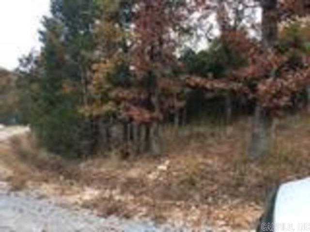 191 Westwind CT  Clarkridge, AR