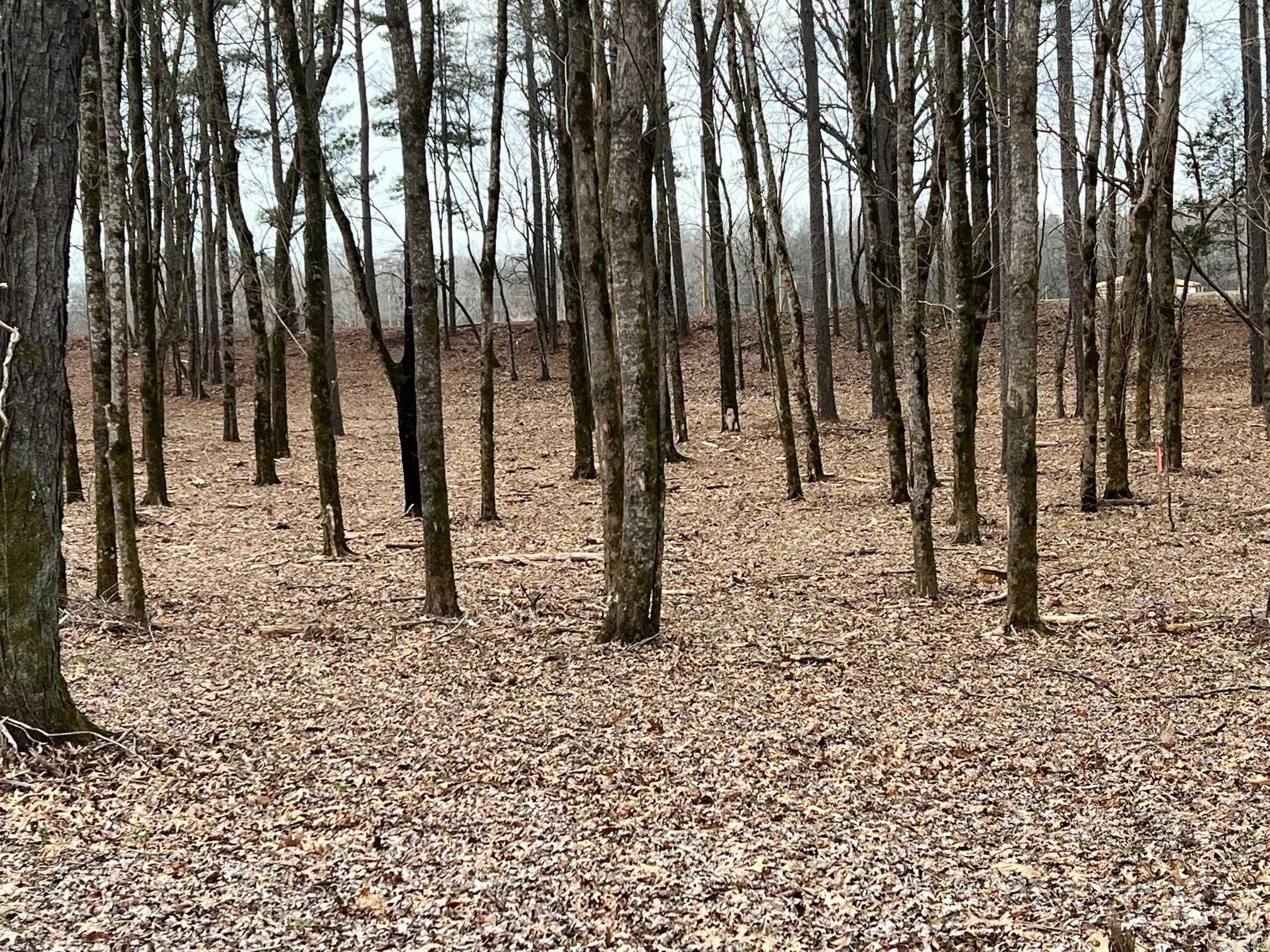 00 Sunshine (lot 4)  Pangburn, AR