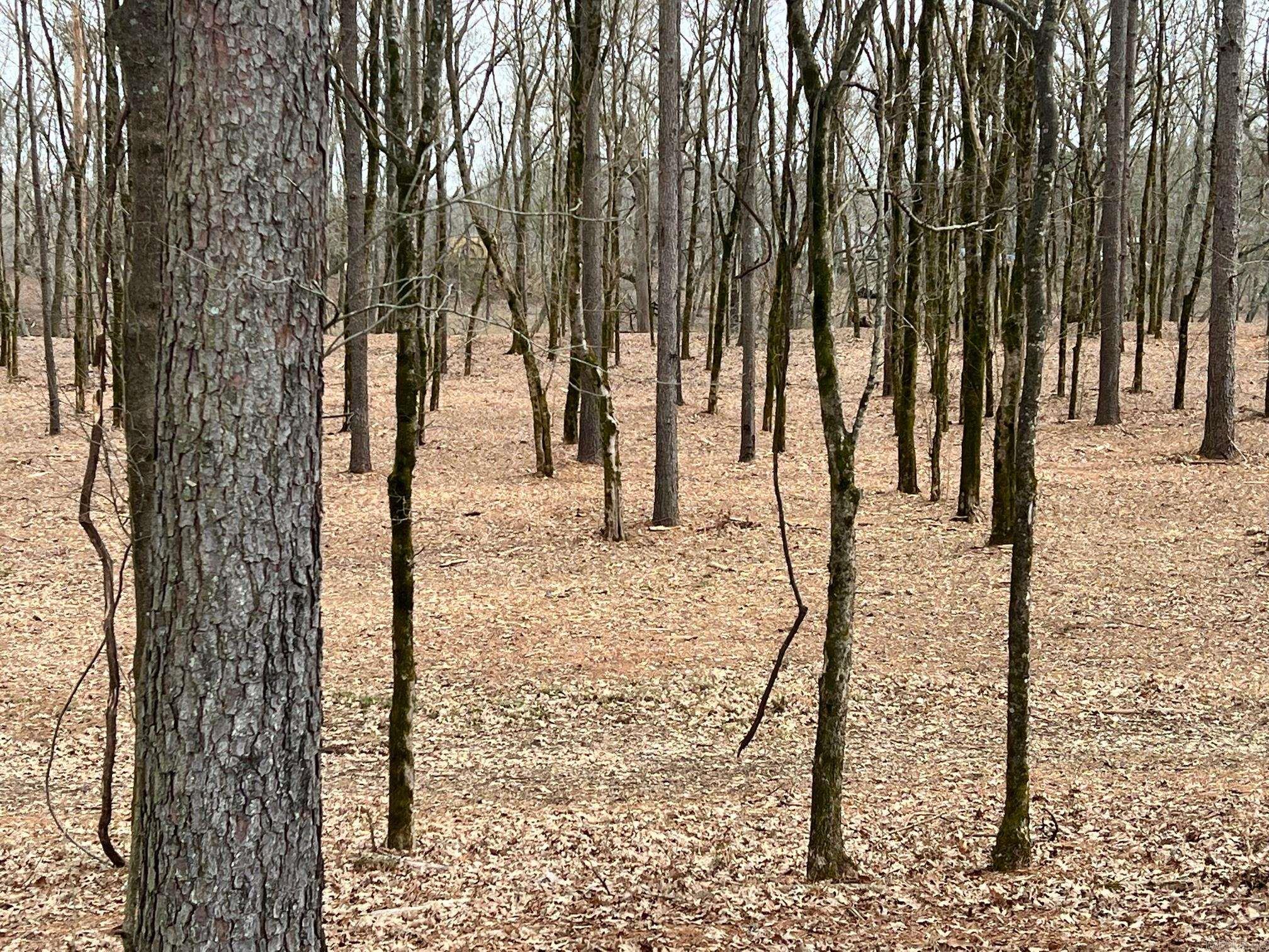 00 Sunshine (lot 4)  Pangburn, AR
