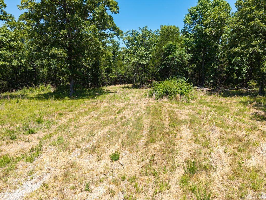 3150 Buford Cutoff Road  Mountain Home, AR