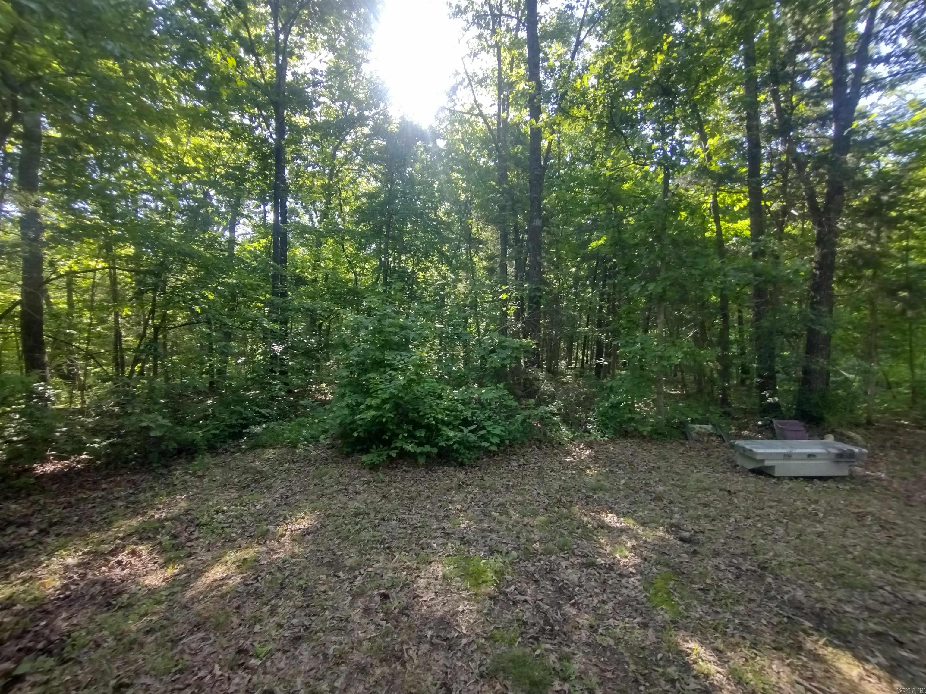 880 Wildcat rd  Fifty-Six, AR