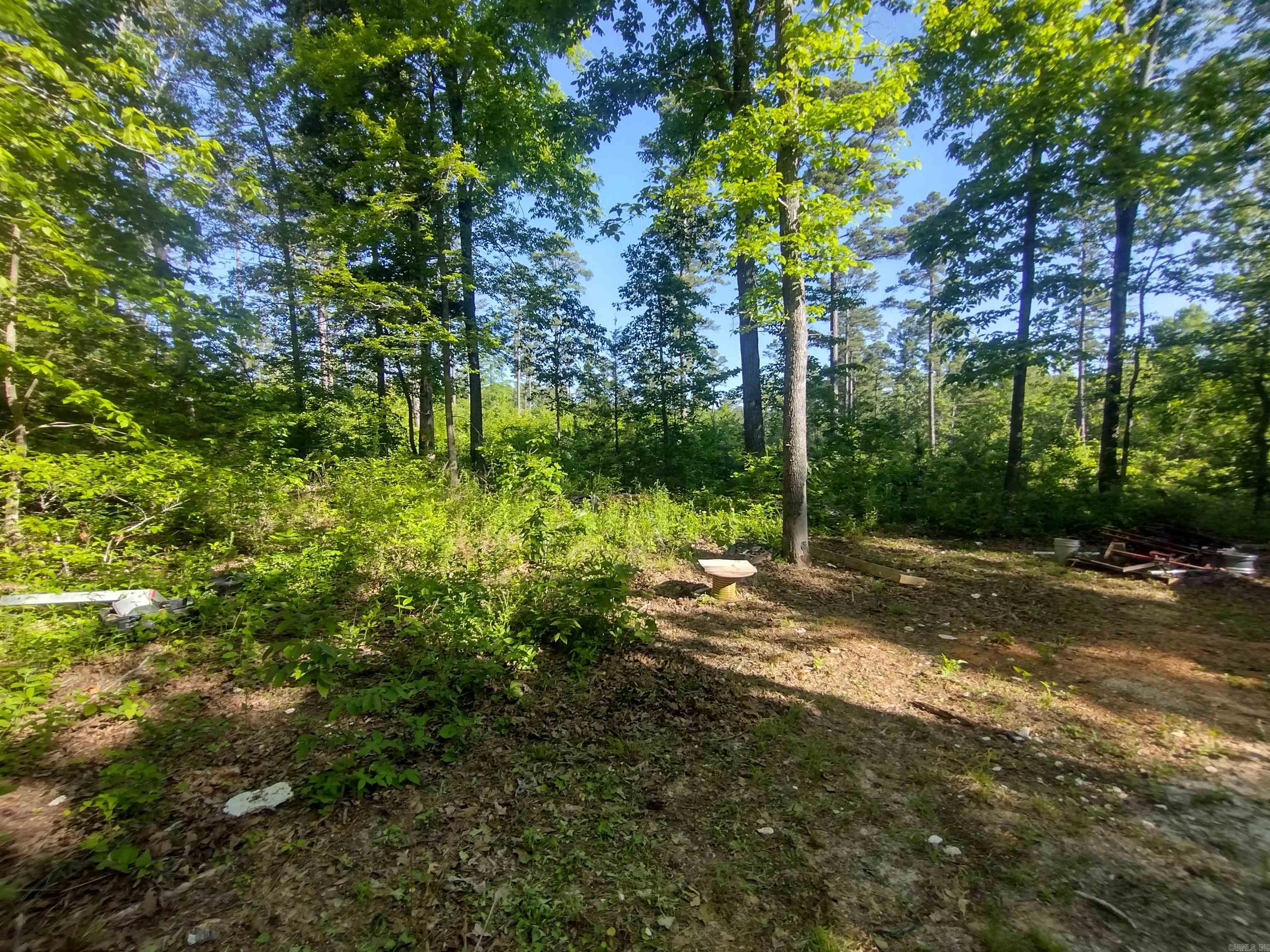 880 Wildcat rd  Fifty-Six, AR