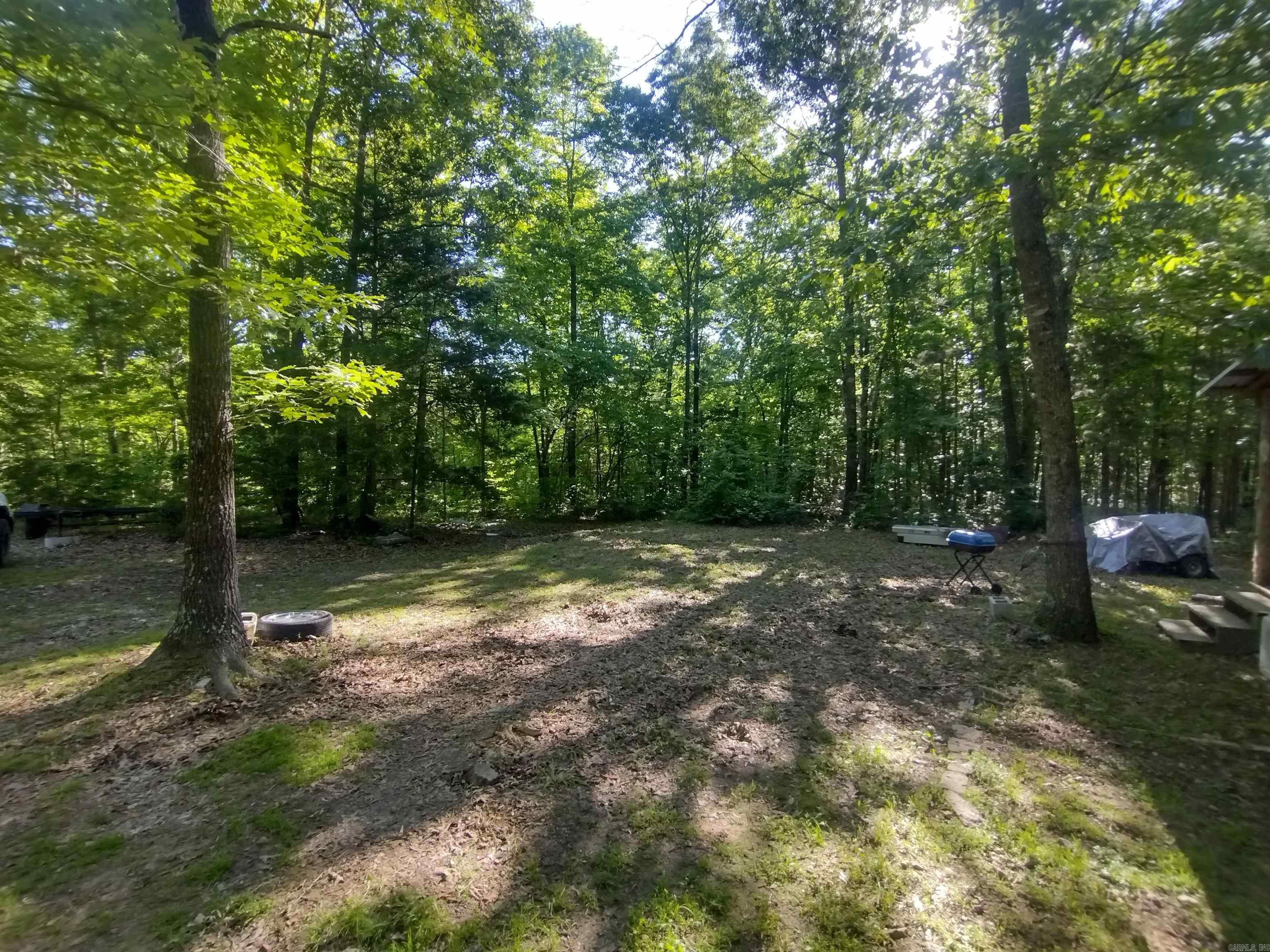 880 Wildcat rd  Fifty-Six, AR