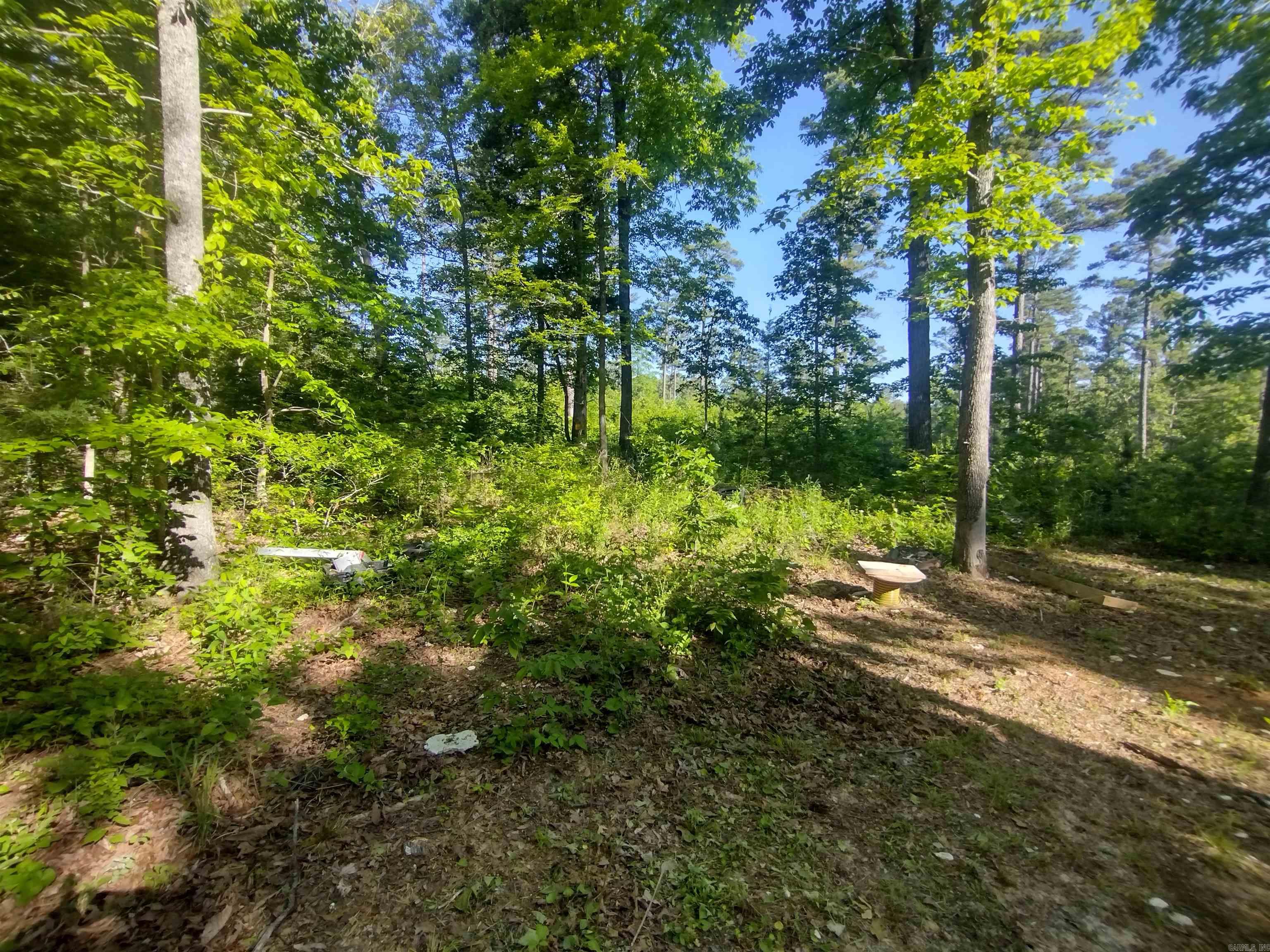 880 Wildcat rd  Fifty-Six, AR