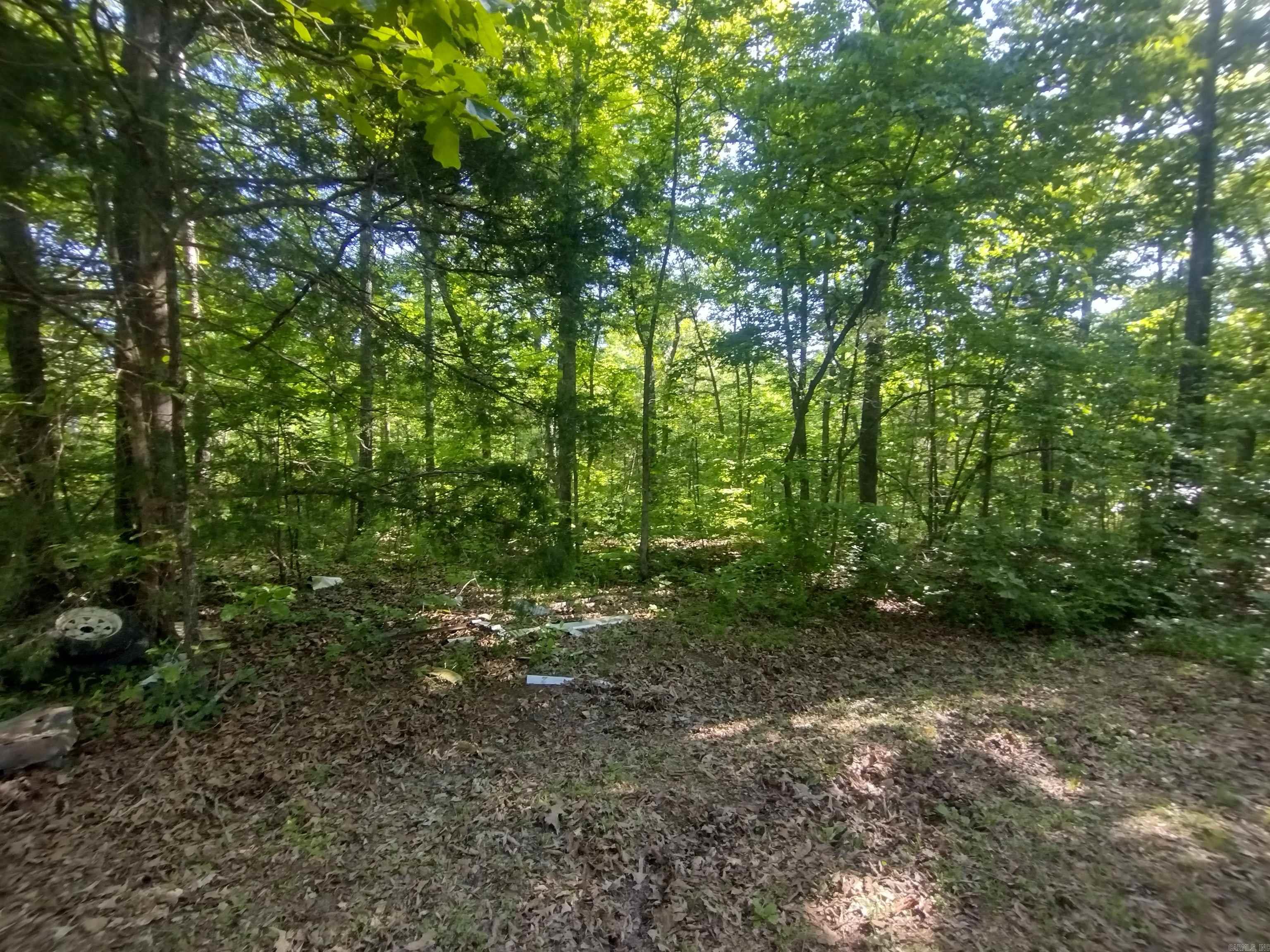 880 Wildcat rd  Fifty-Six, AR
