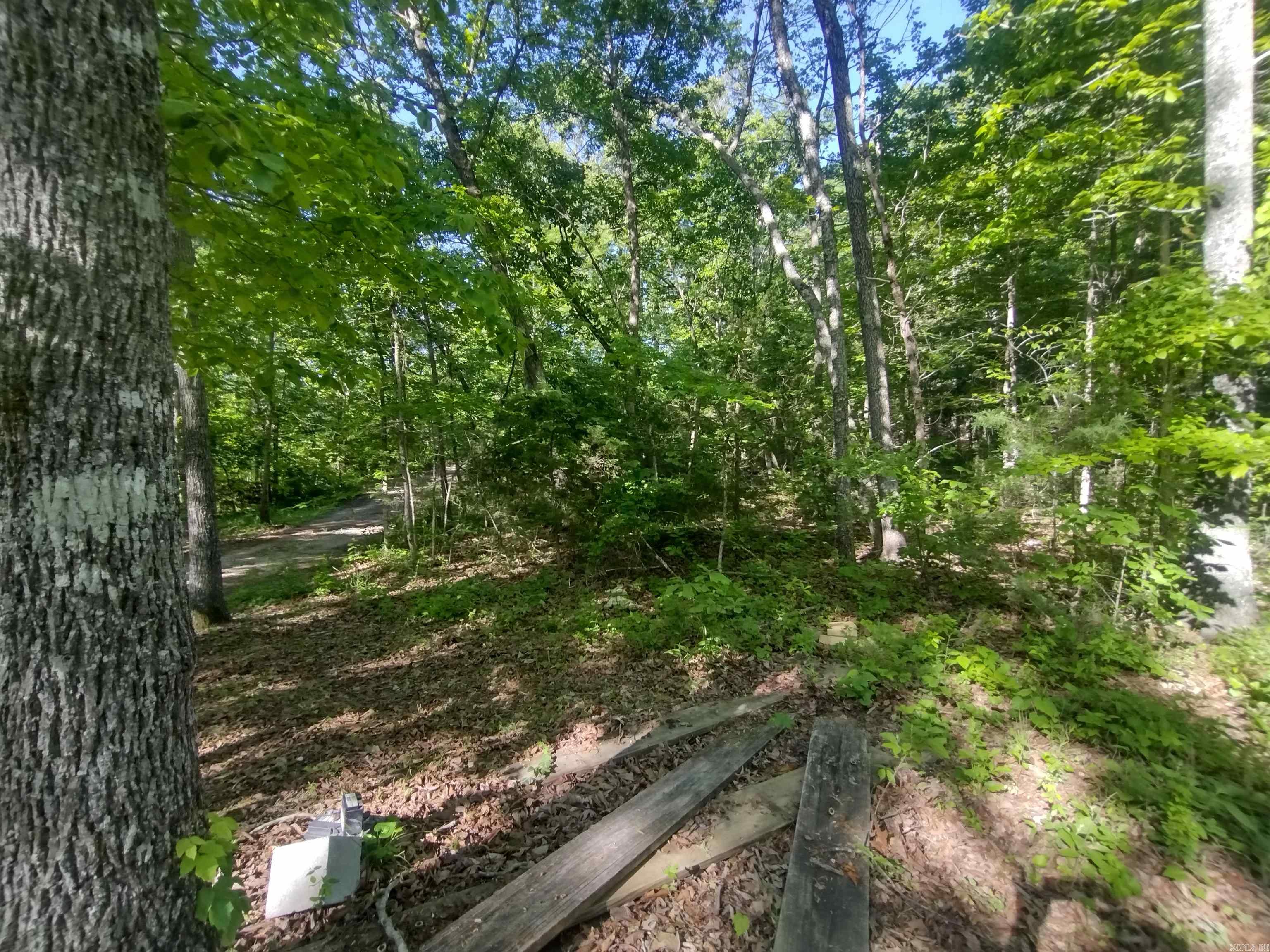 880 Wildcat rd  Fifty-Six, AR