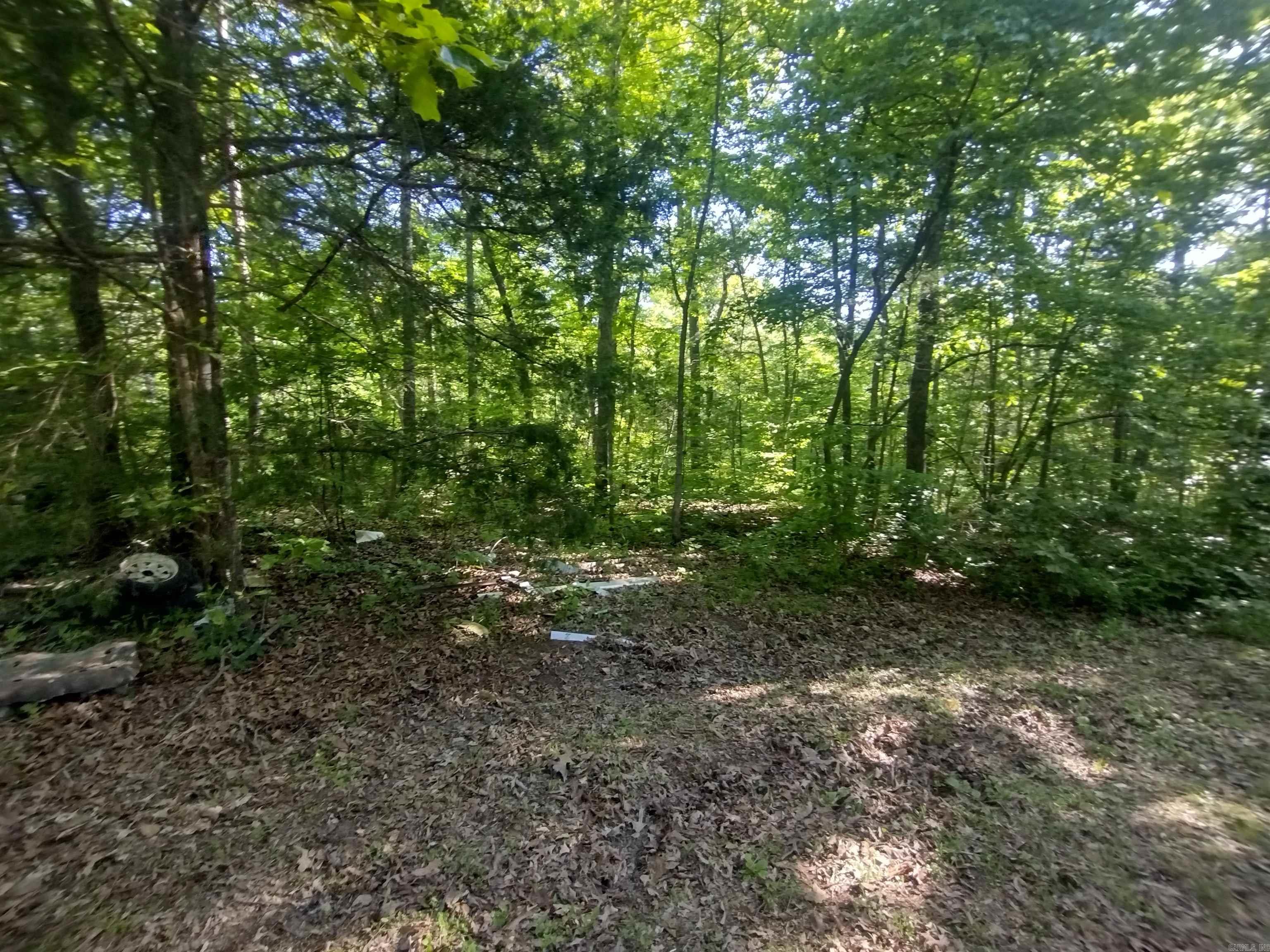 880 Wildcat rd  Fifty-Six, AR