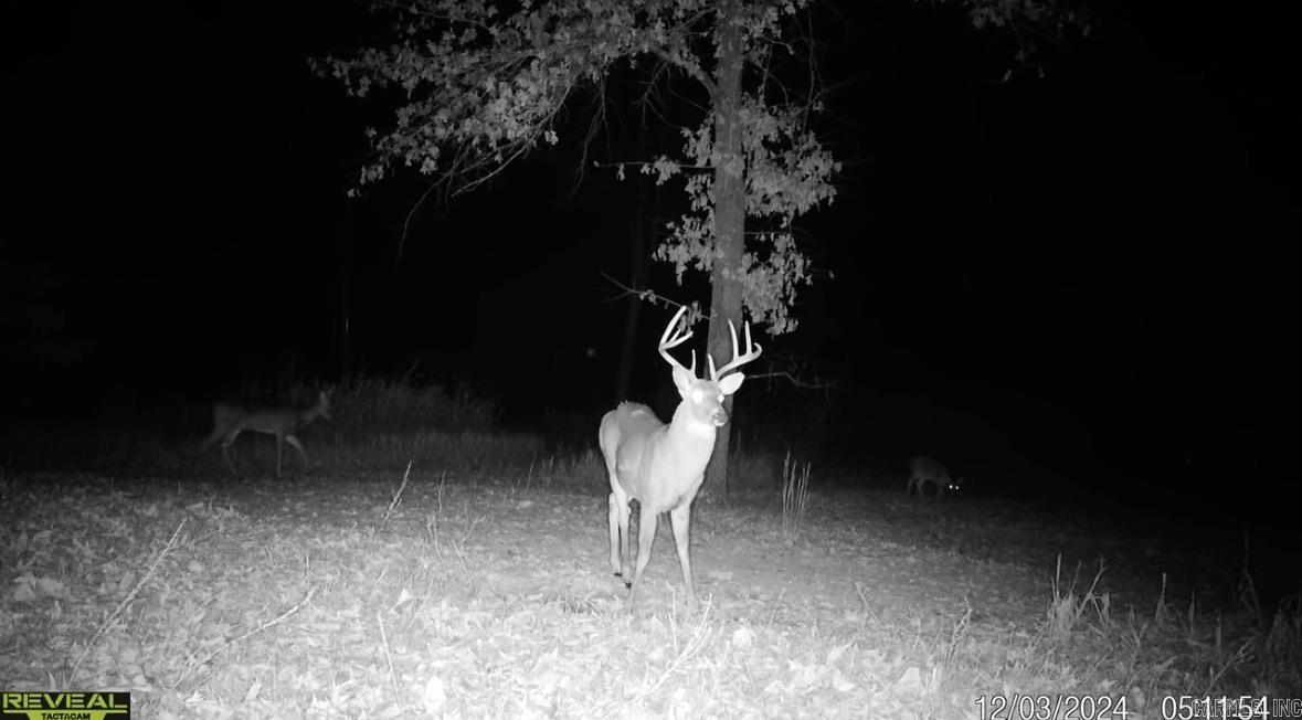 14782 County Road 7990  Bakersfield, MO