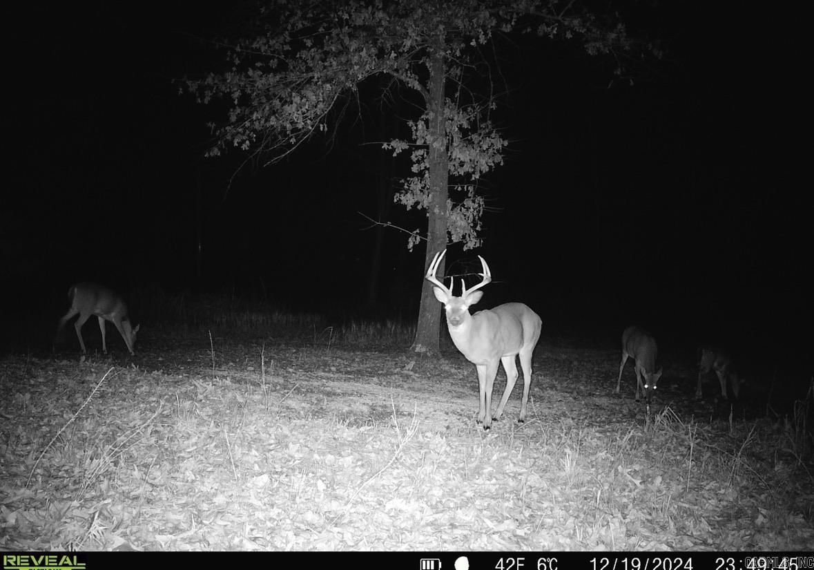 14782 County Road 7990  Bakersfield, MO