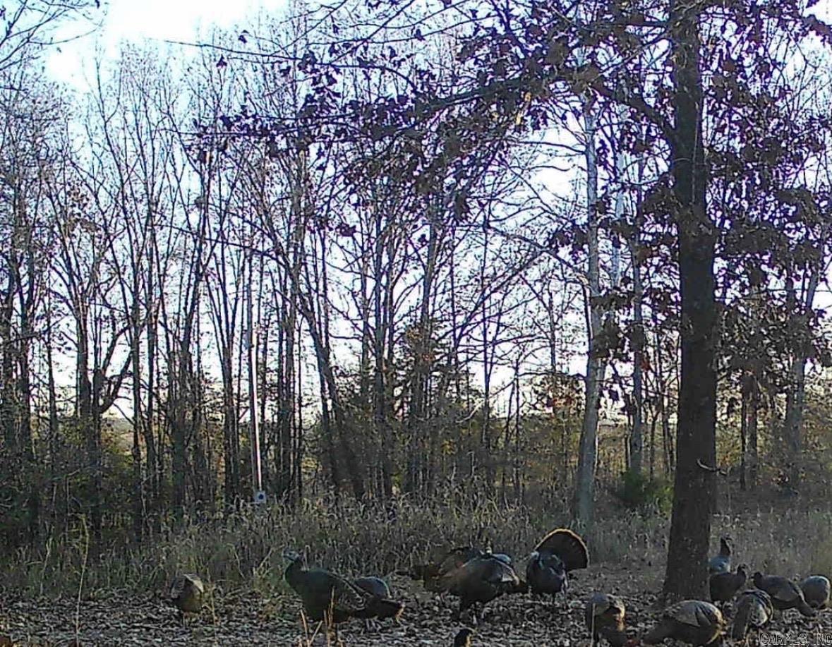 14782 County Road 7990  Bakersfield, MO