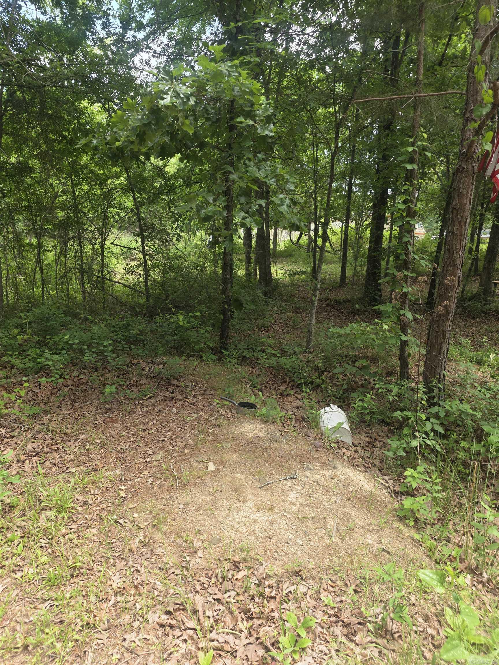 TBD Polk Rd 76 E  Mena, AR