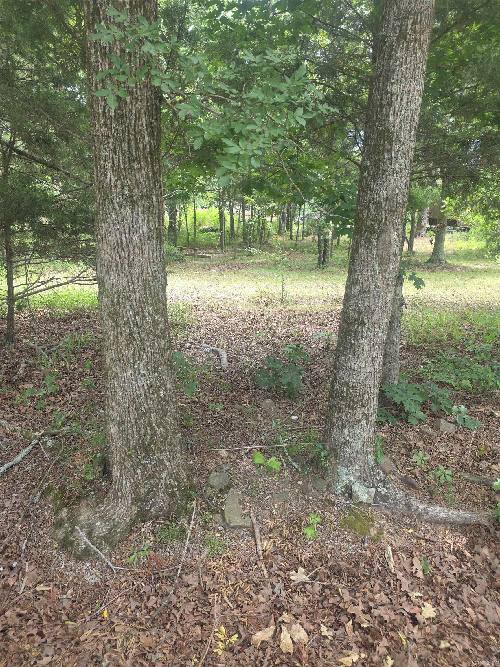 TBD Polk Rd 76 E  Mena, AR