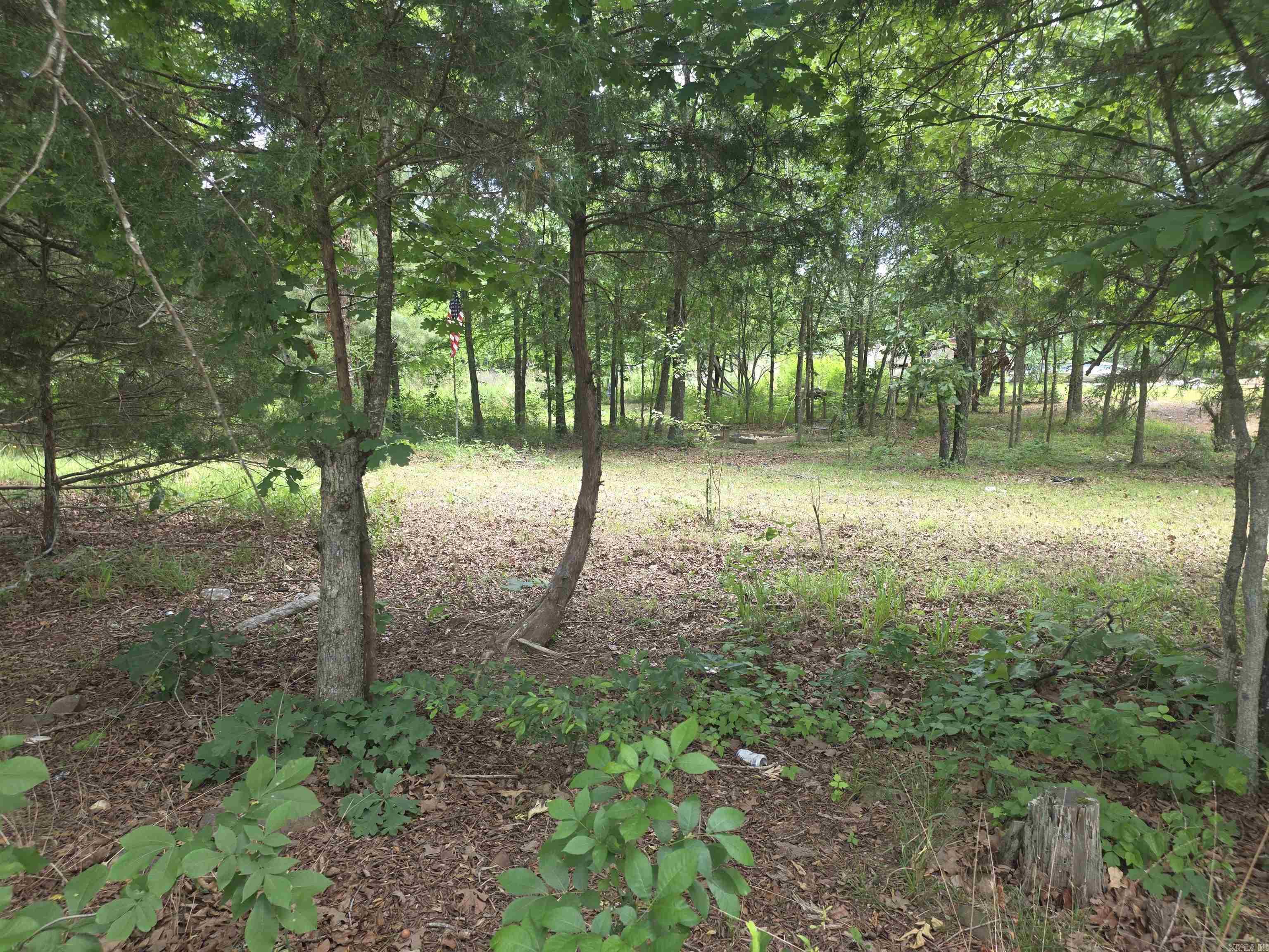 TBD Polk Rd 76 E  Mena, AR