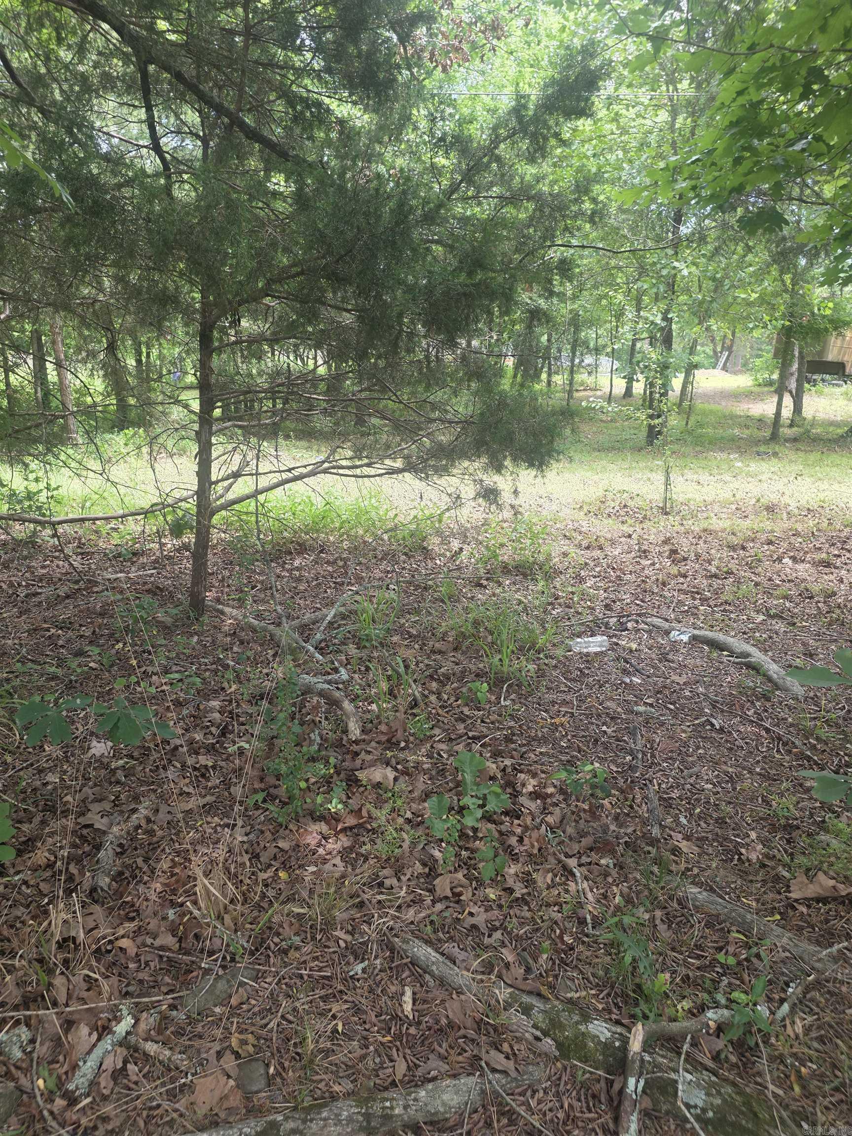 TBD Polk Rd 76 E  Mena, AR
