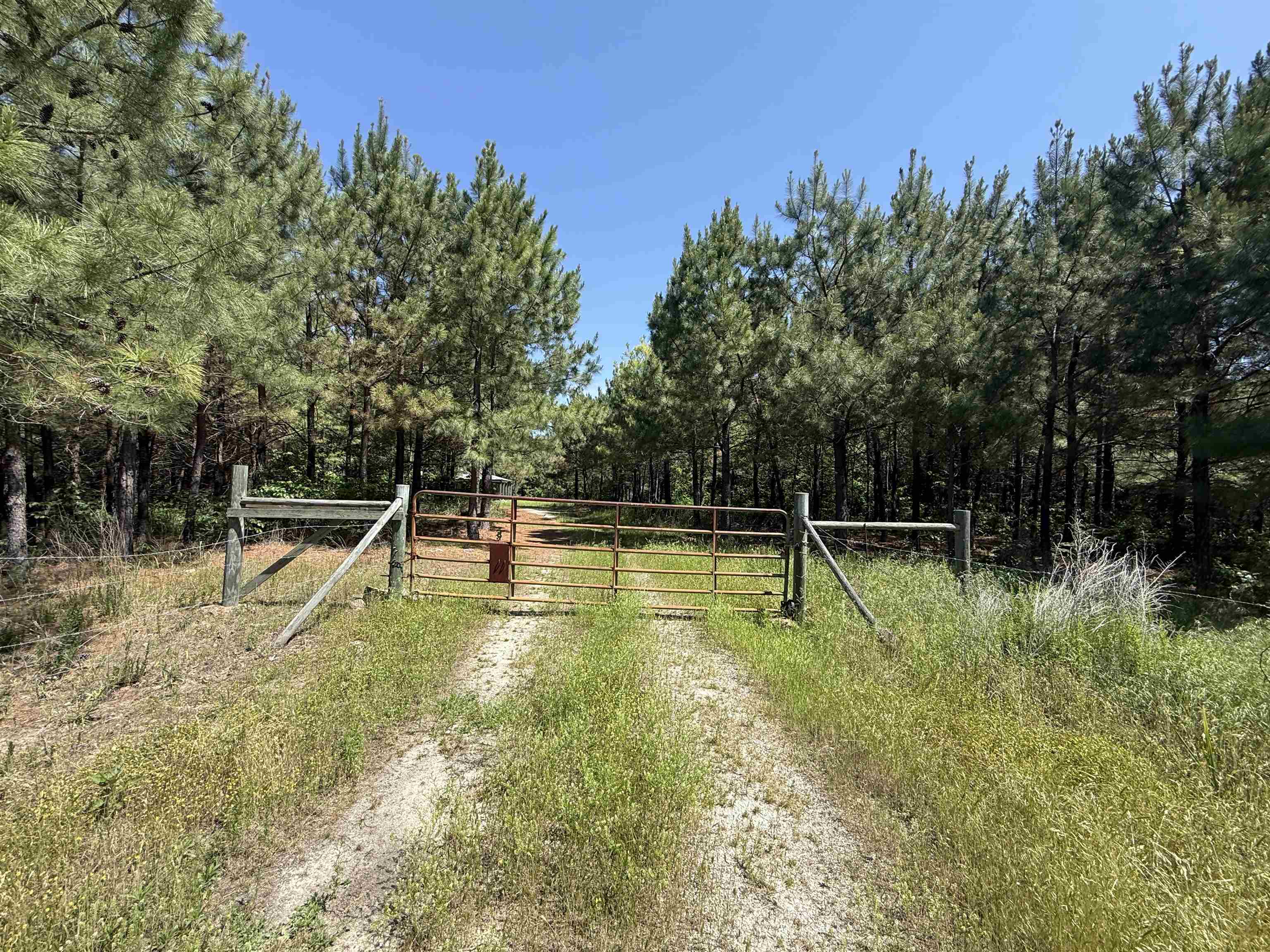 2061 Chapel Hill Road  Melbourne, AR