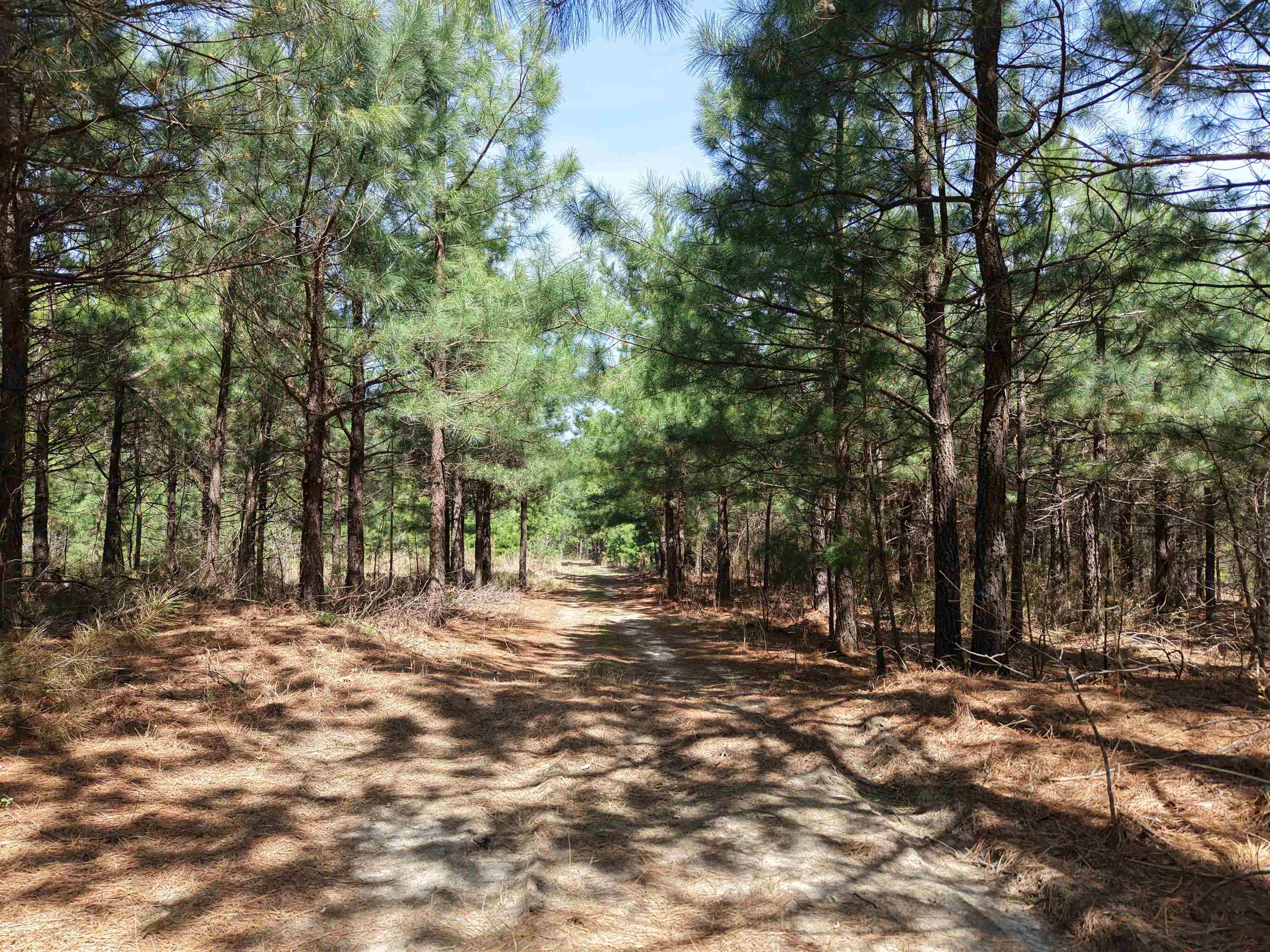 2061 Chapel Hill Road  Melbourne, AR