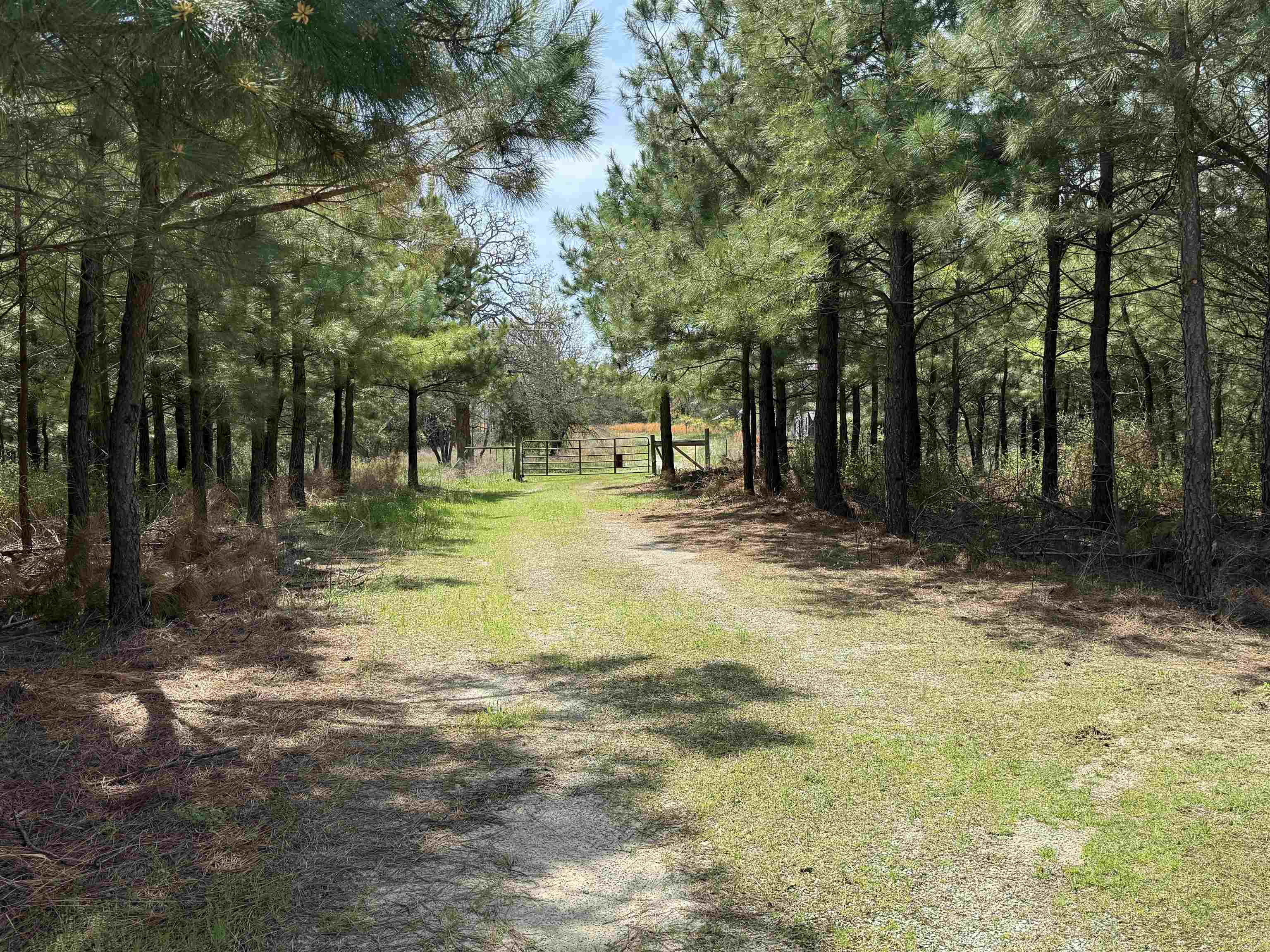 2061 Chapel Hill Road  Melbourne, AR
