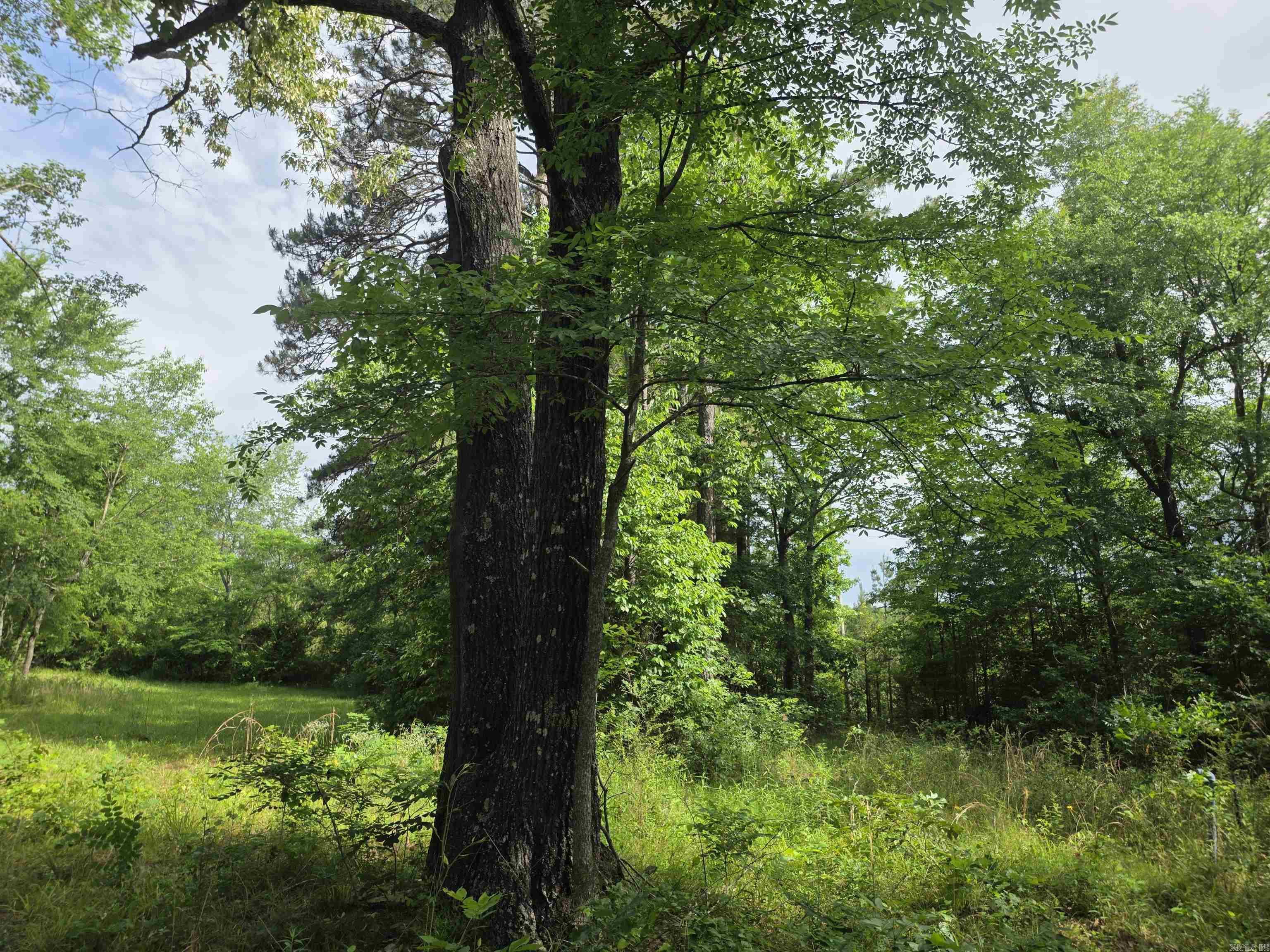 1710 W 375  Mena, AR