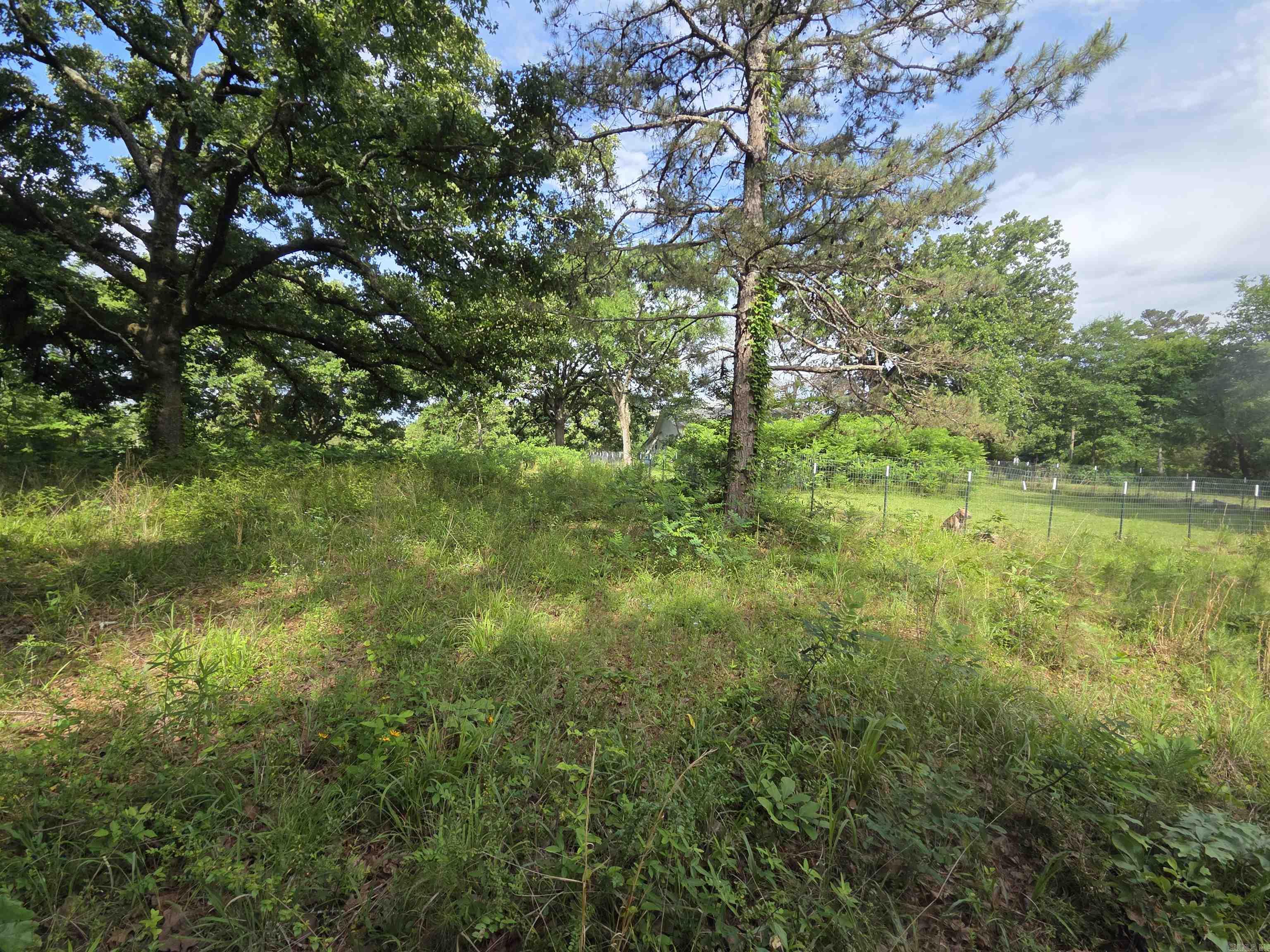 1710 W 375  Mena, AR