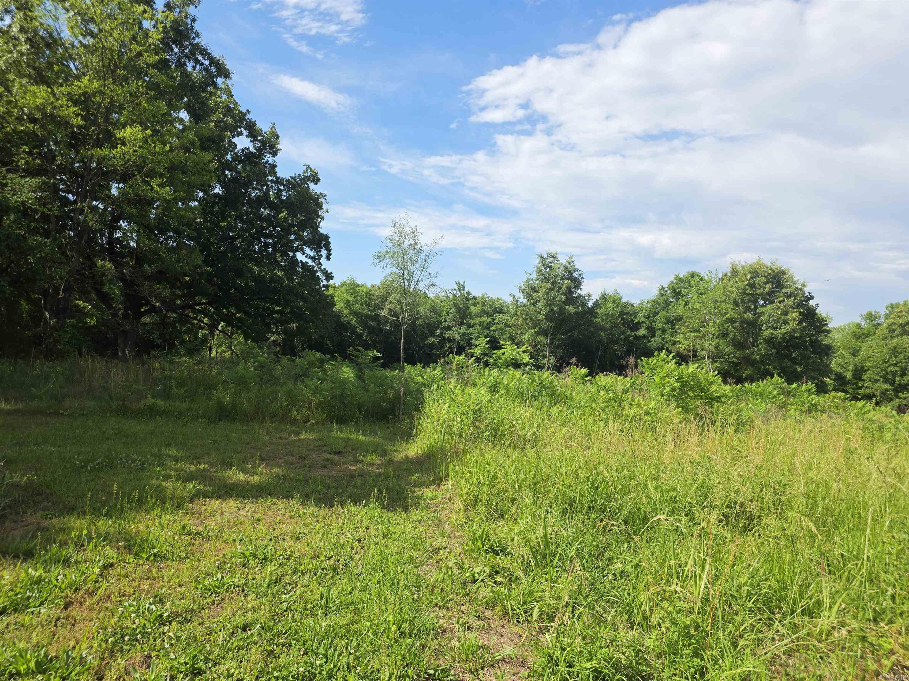 1710 W 375  Mena, AR