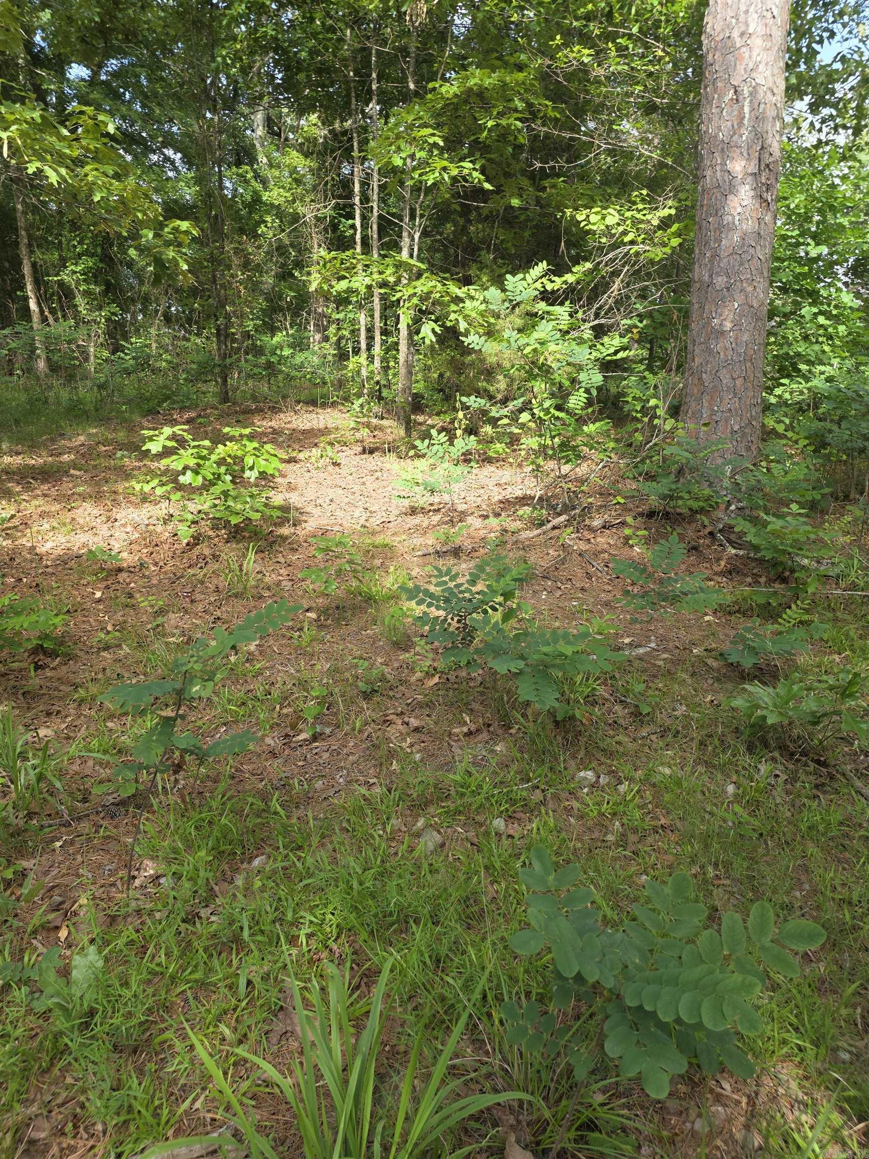 1710 W 375  Mena, AR