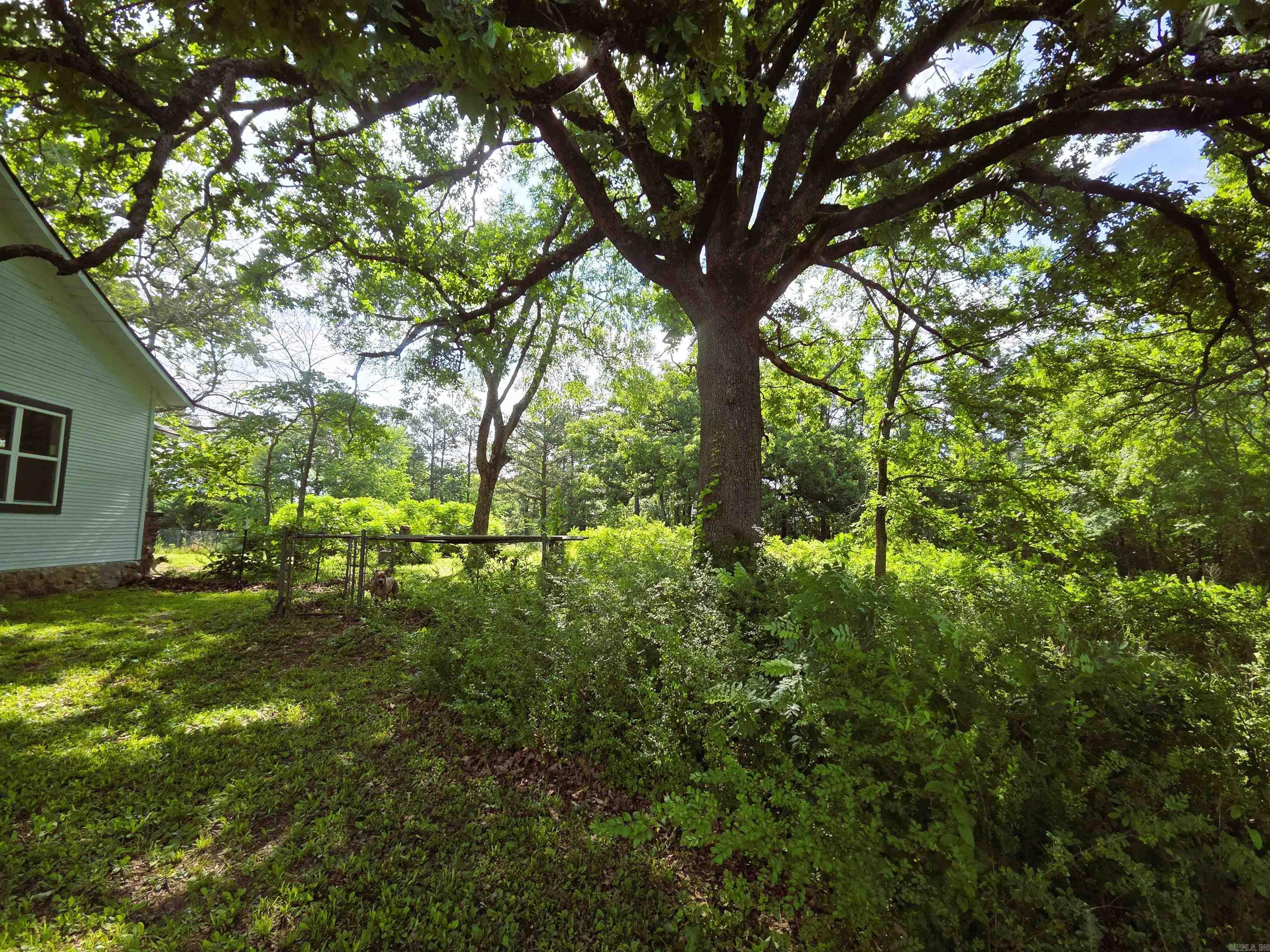 1710 W 375  Mena, AR