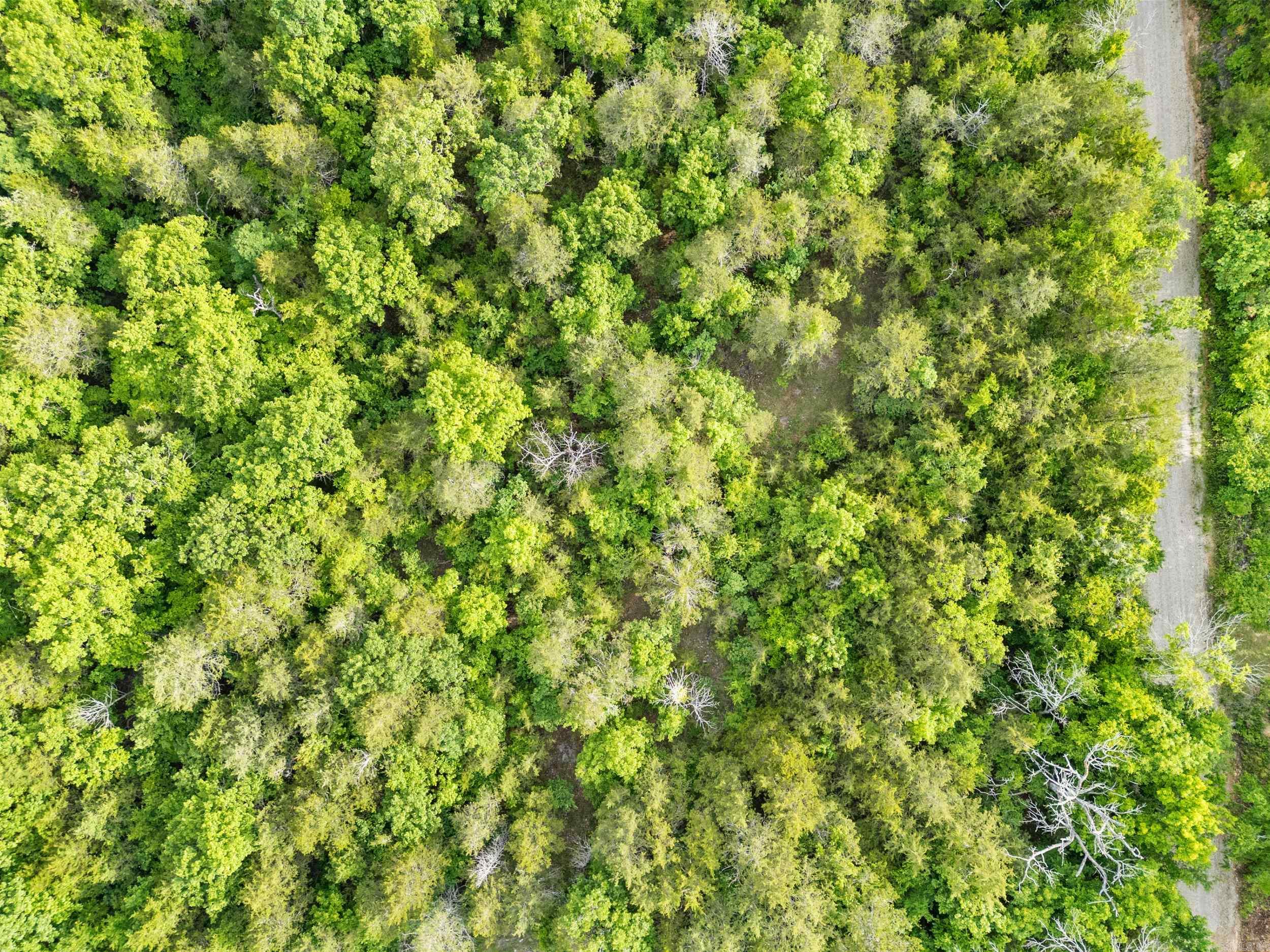 Lot 115 & 116 Greenhaven  Mountain Home, AR