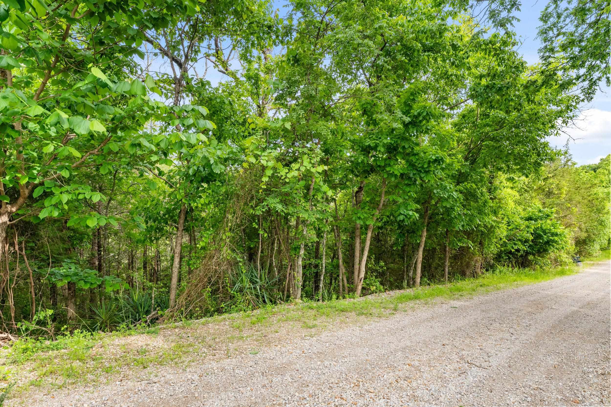 Lot 115 & 116 Greenhaven  Mountain Home, AR