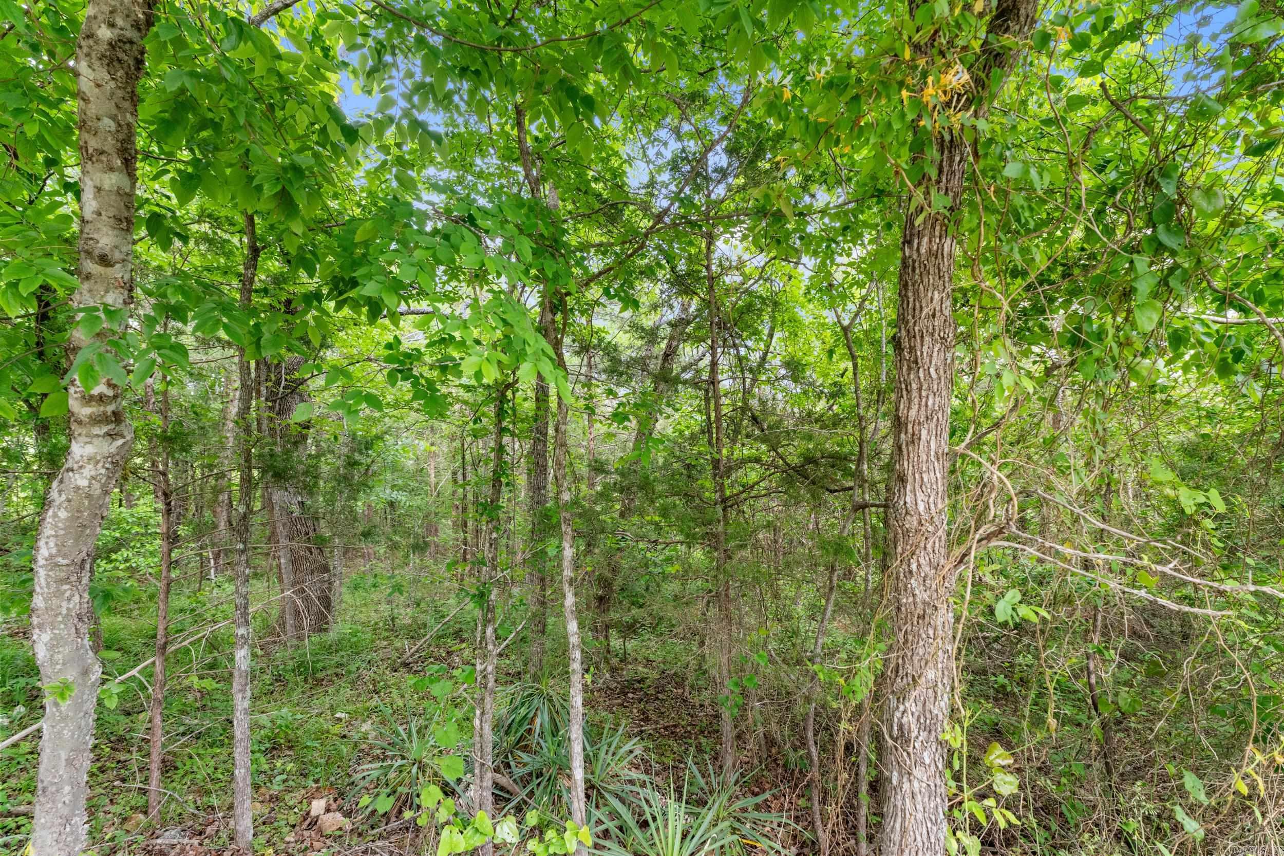 Lot 115 & 116 Greenhaven  Mountain Home, AR