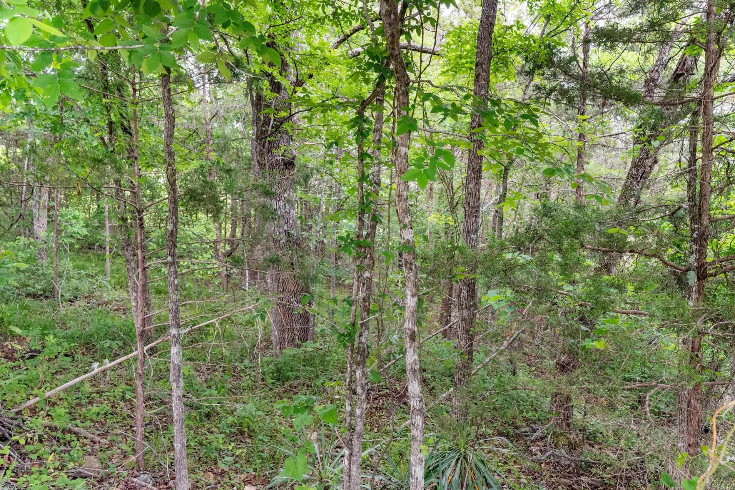 Lot 115 & 116 Greenhaven  Mountain Home, AR