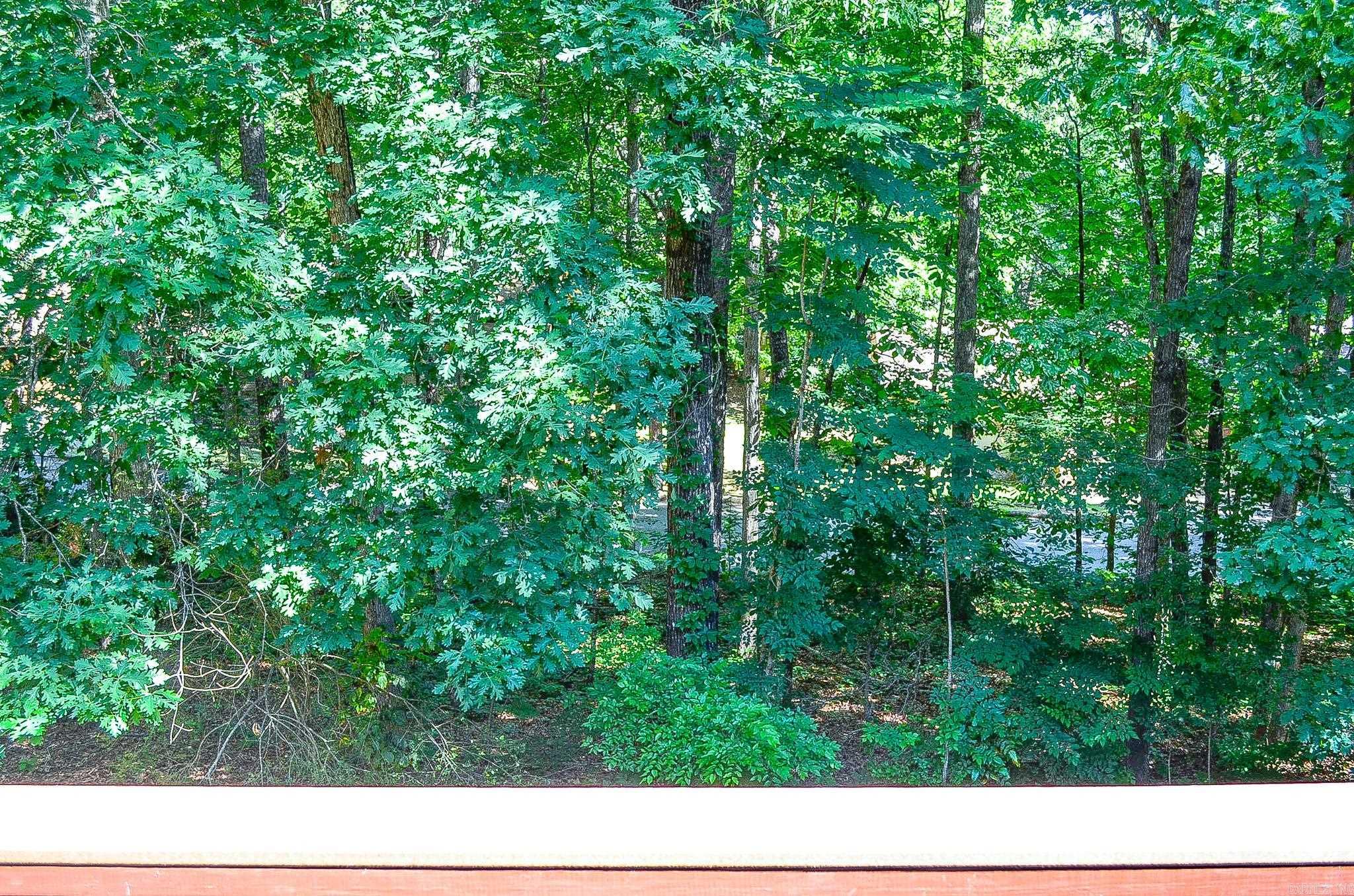 5 Emanuel Lane  Hot Springs Village, AR