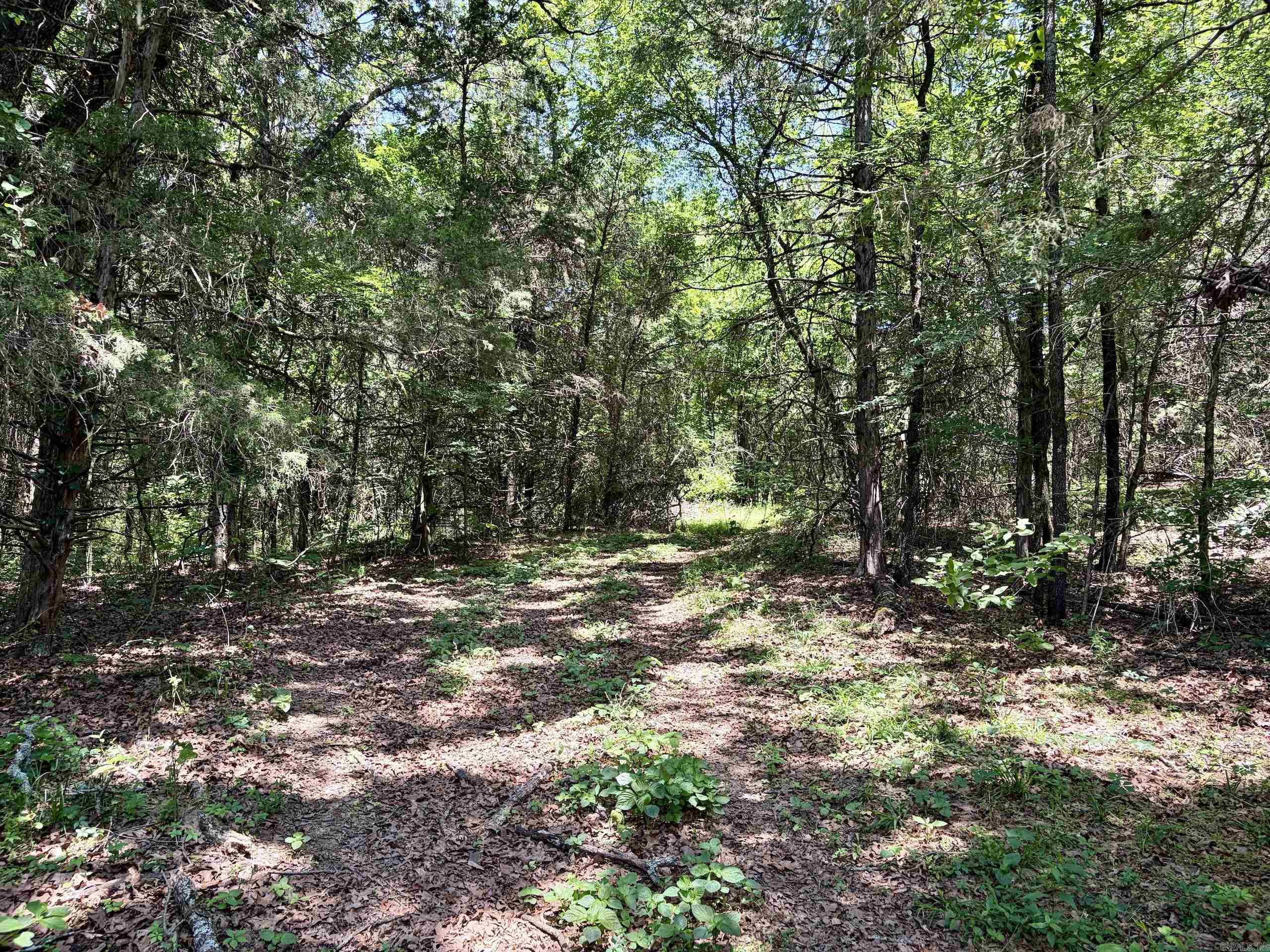 1250 CR 2651  Lamar, AR
