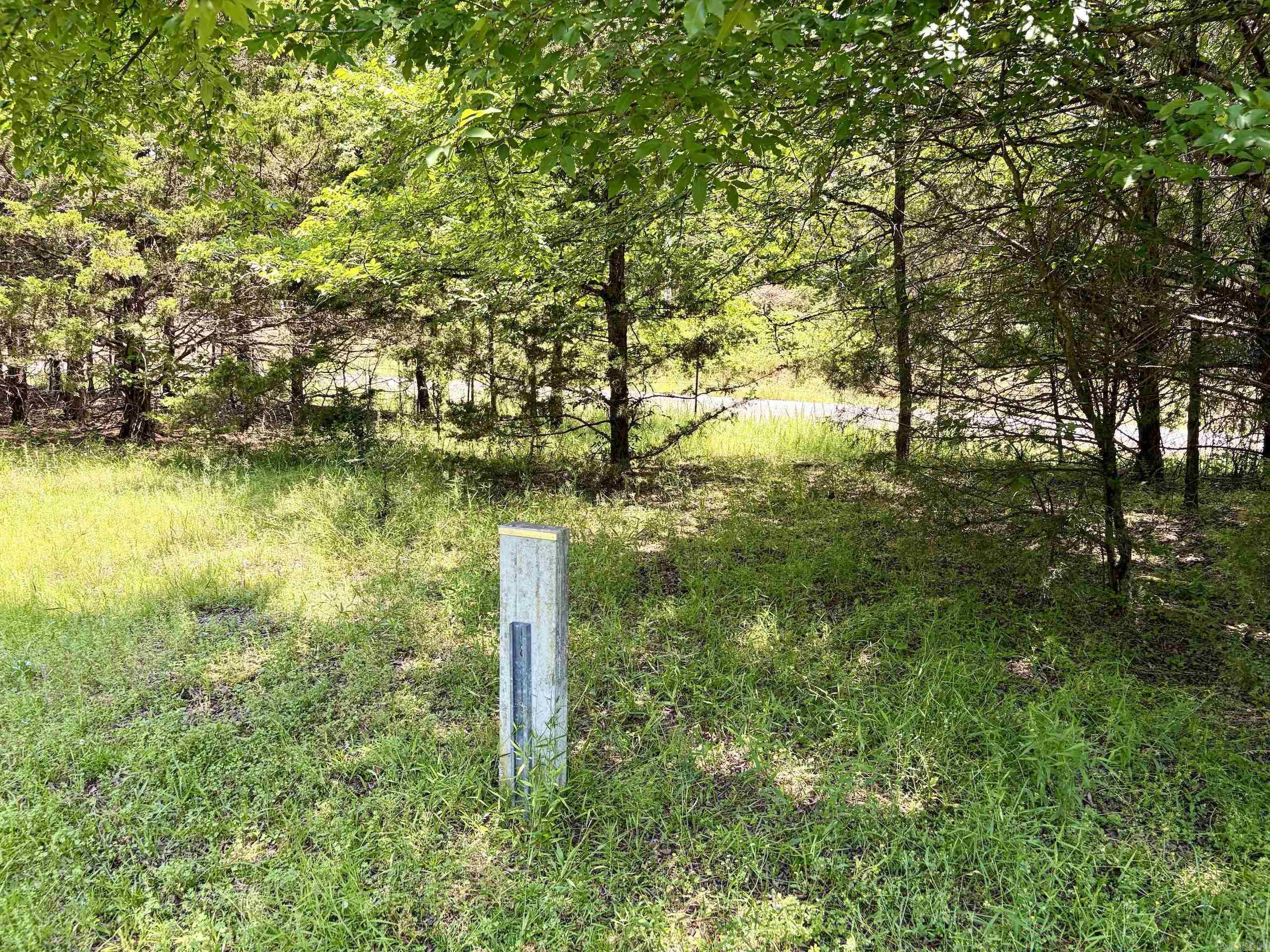 1250 CR 2651  Lamar, AR