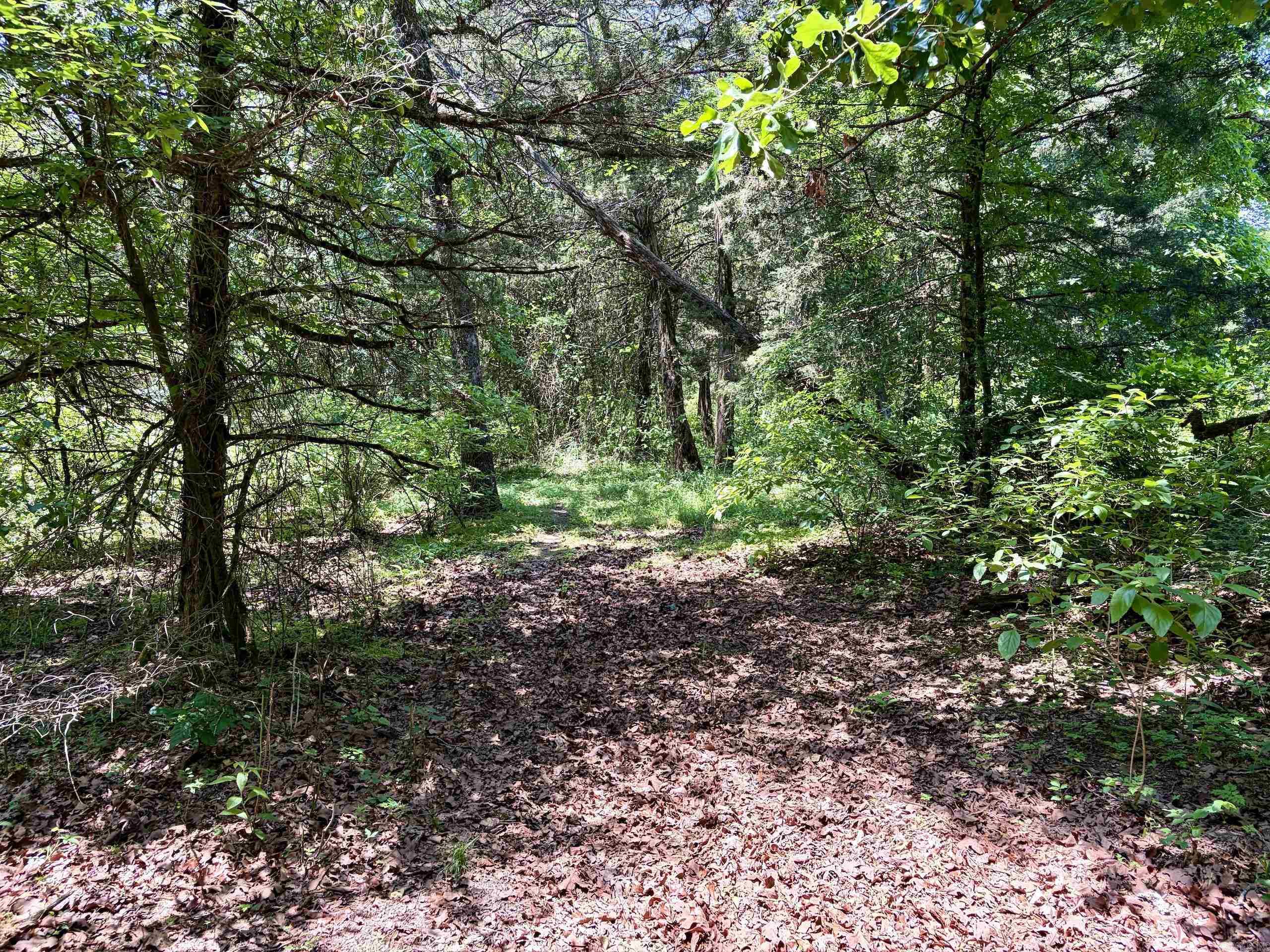 1250 CR 2651  Lamar, AR