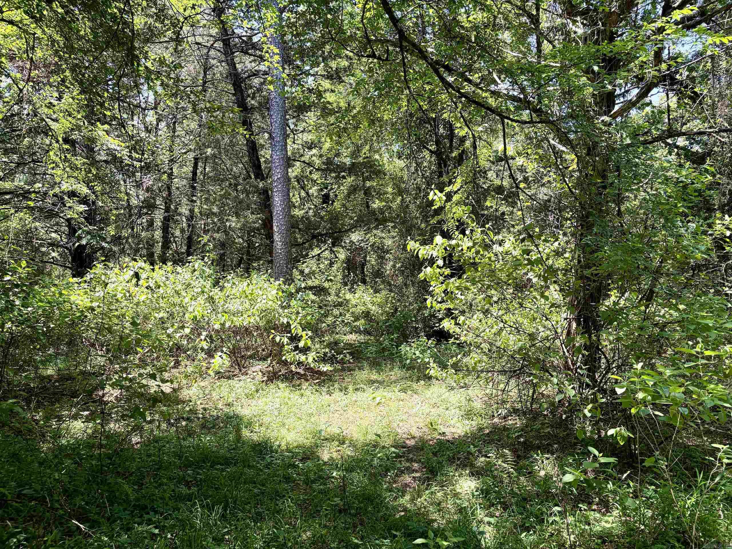 1250 CR 2651  Lamar, AR