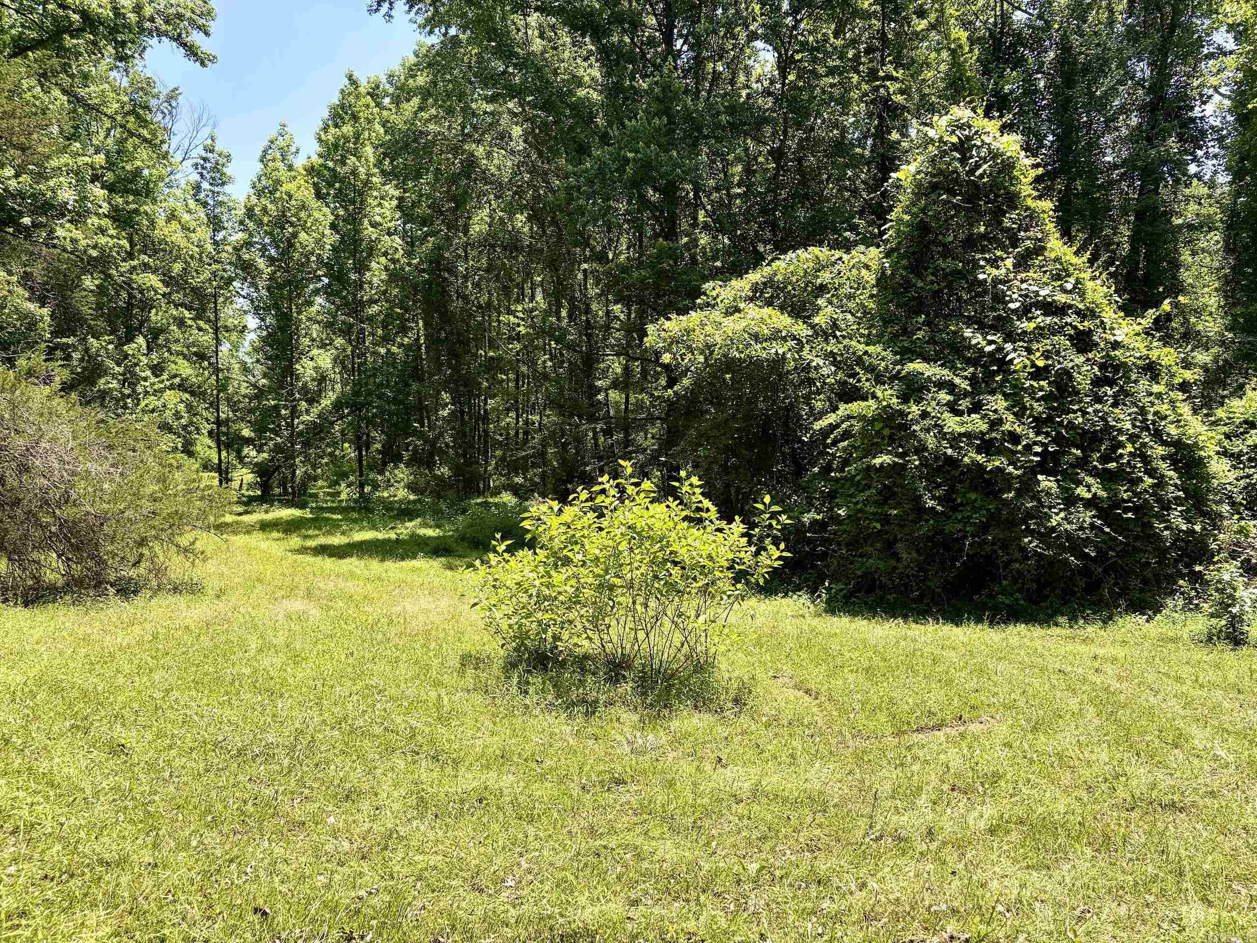 1250 CR 2651  Lamar, AR